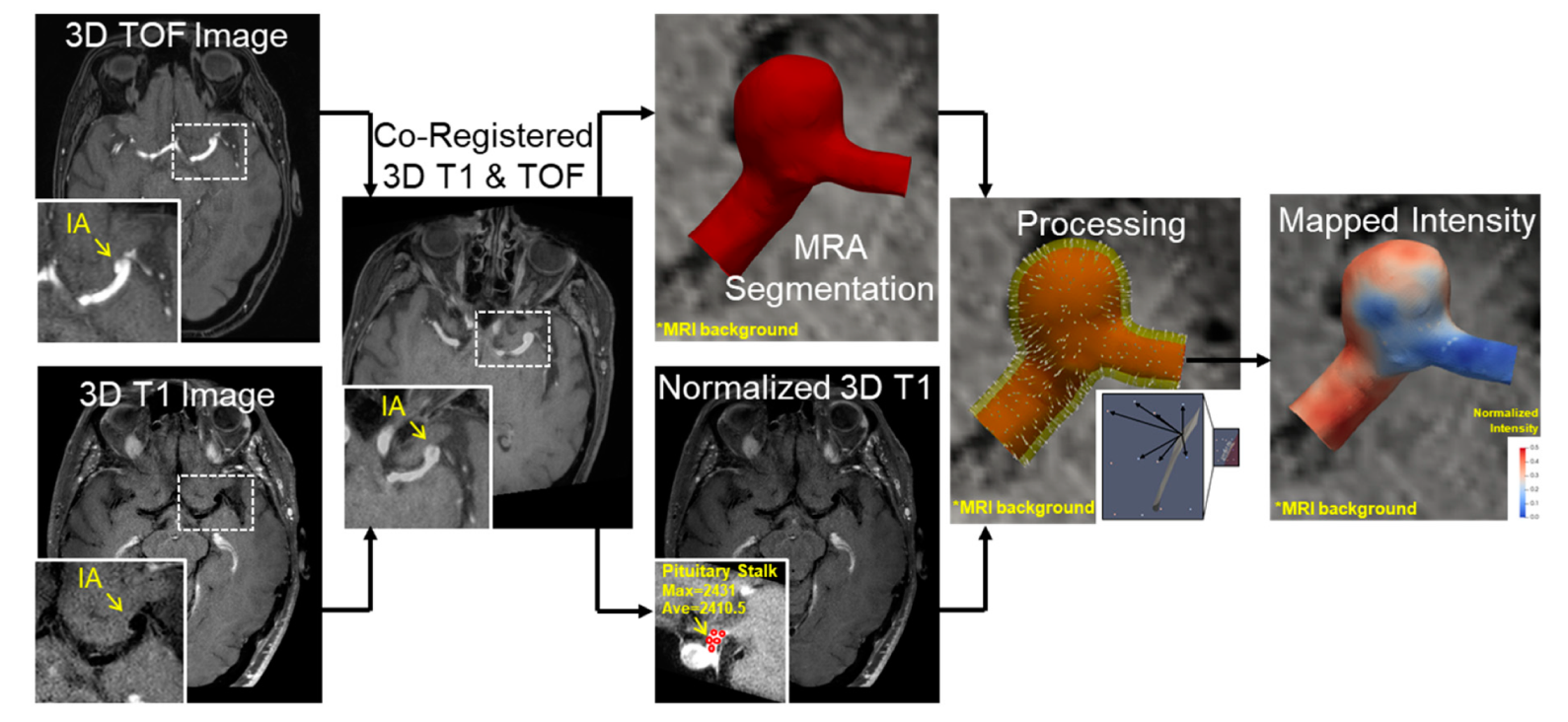 Diagnostics 11 01742 g001