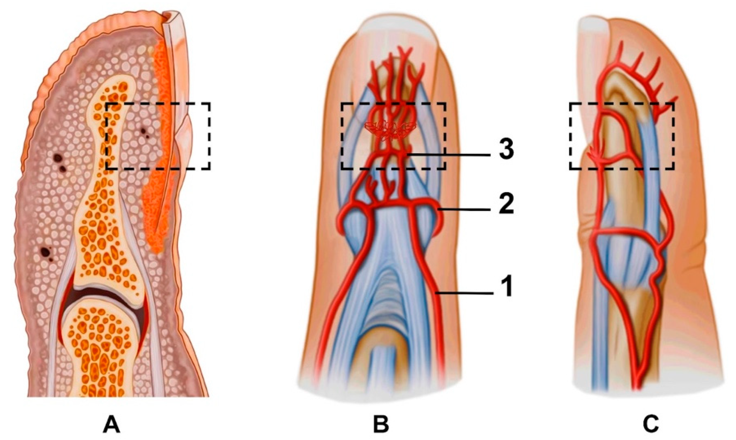 Diagnostics 11 01743 g002