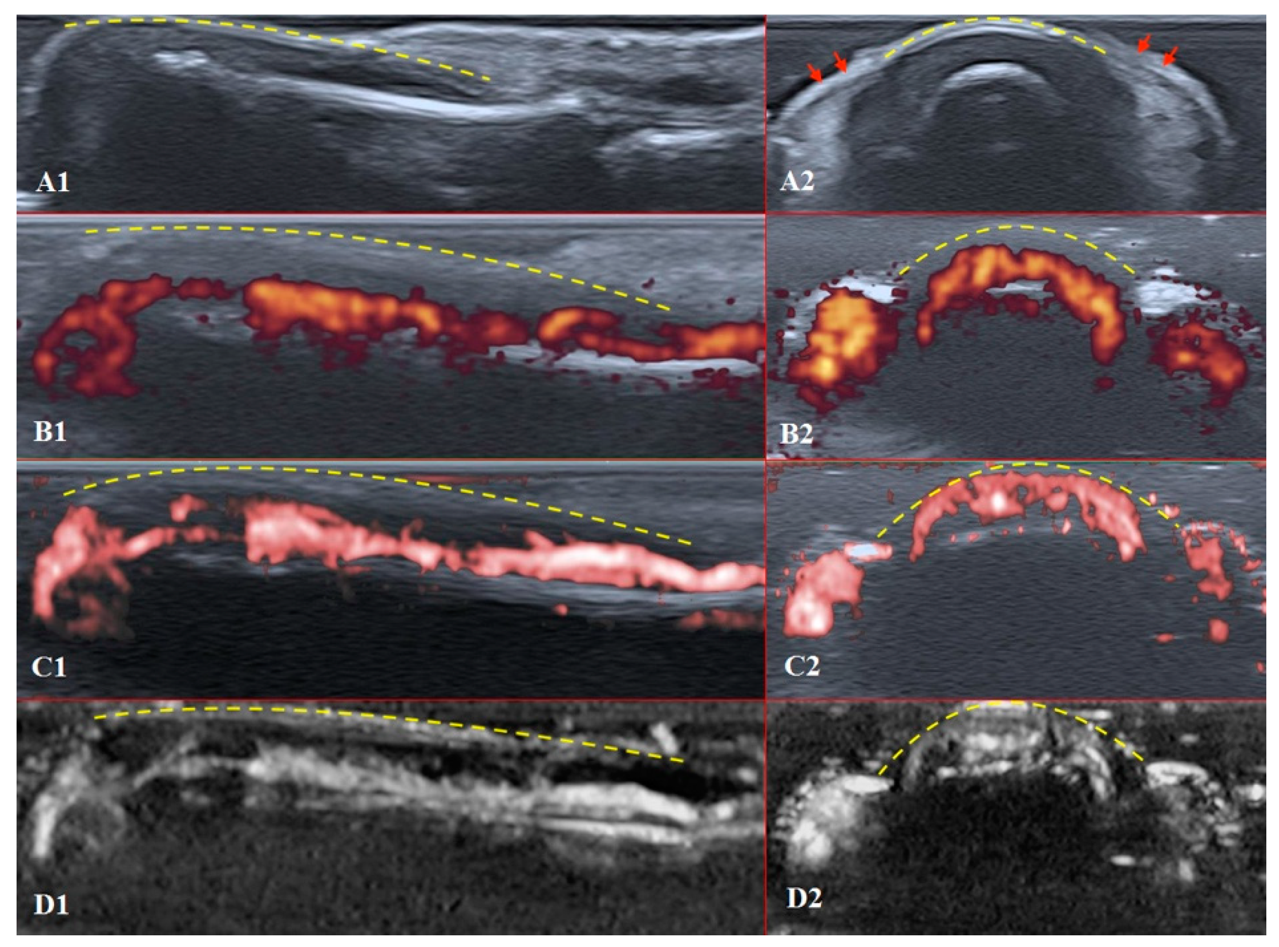 Diagnostics 11 01743 g004