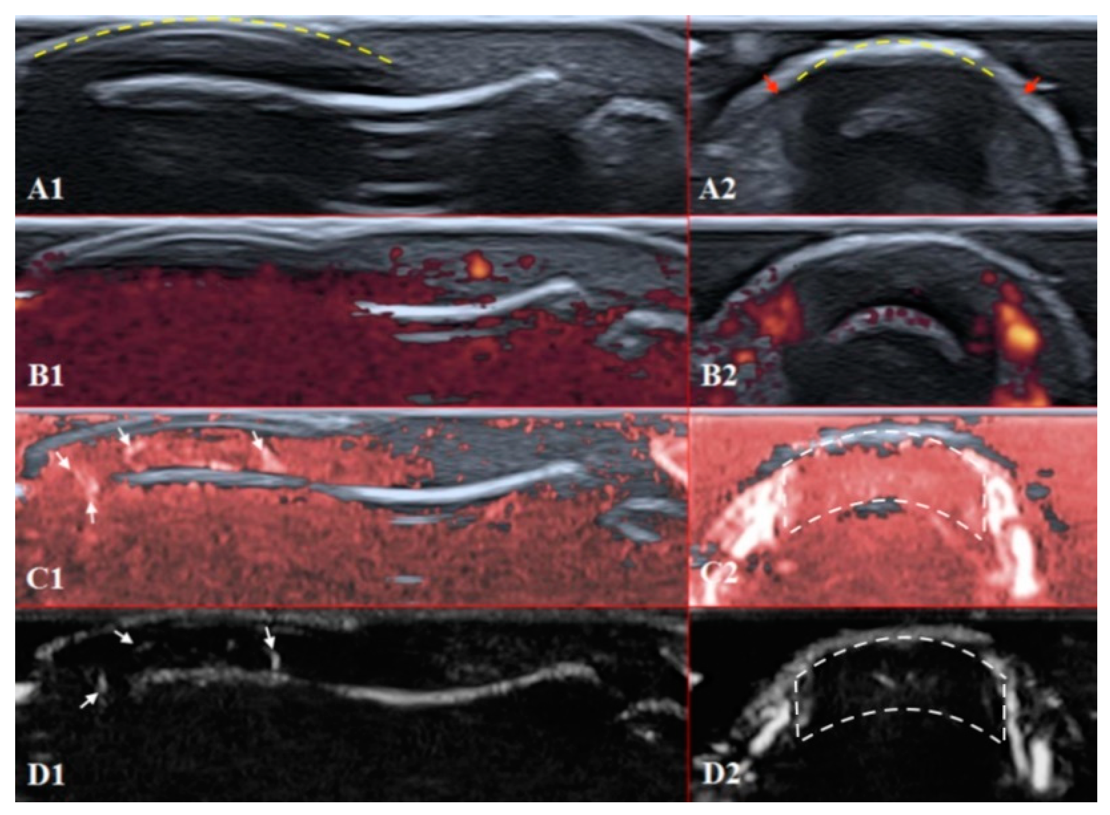 Diagnostics 11 01743 g005