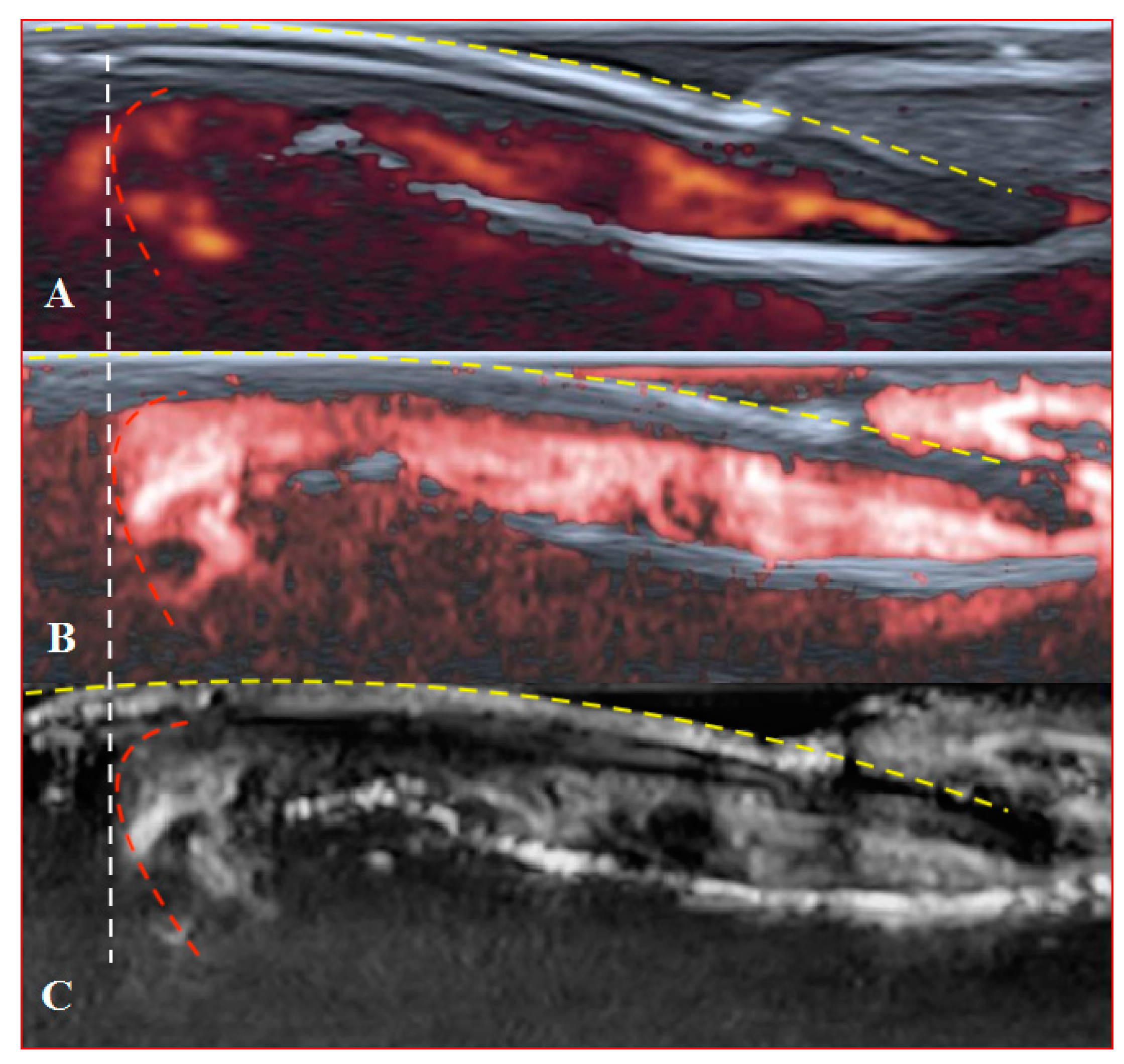 Diagnostics 11 01743 g006