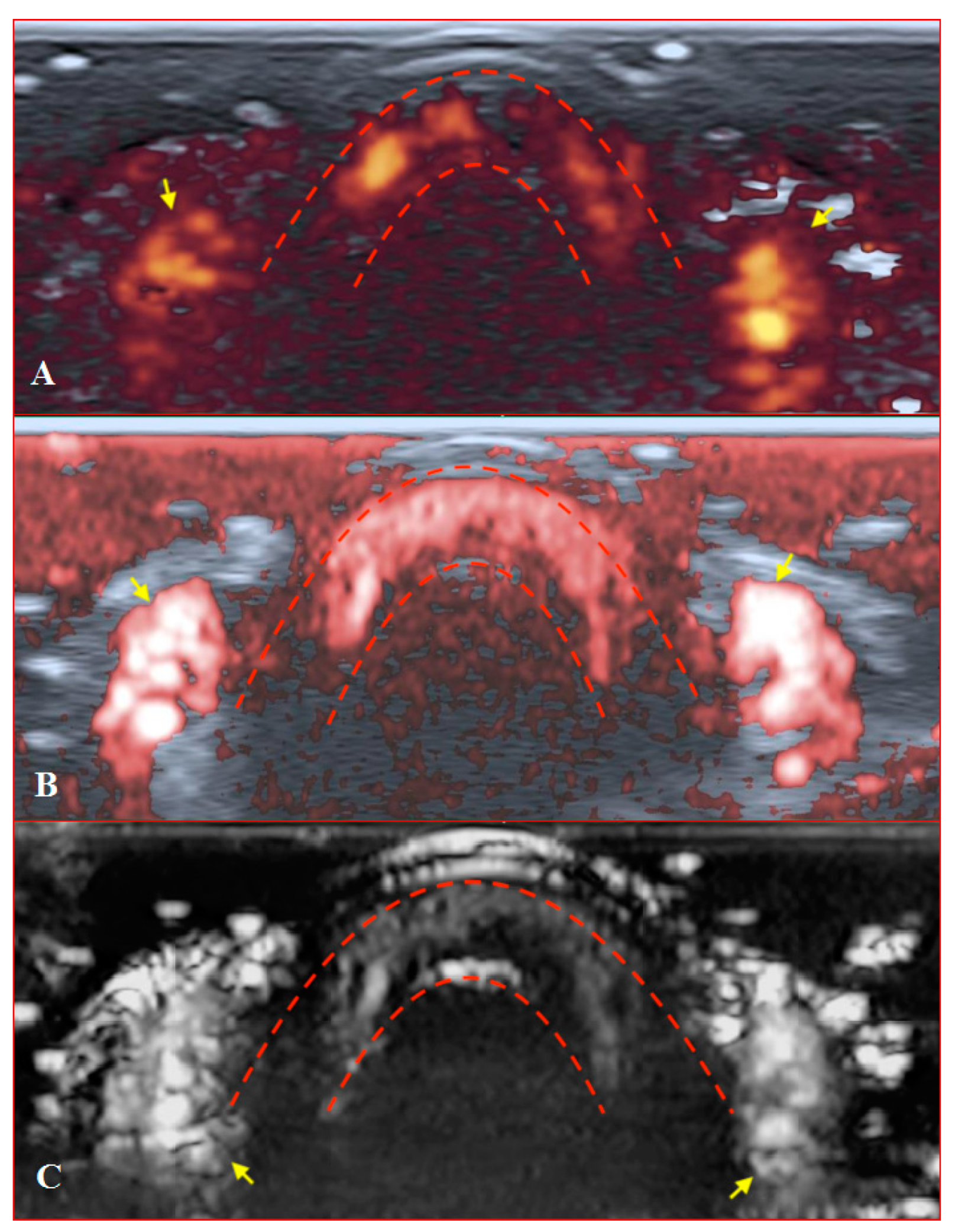 Diagnostics 11 01743 g007