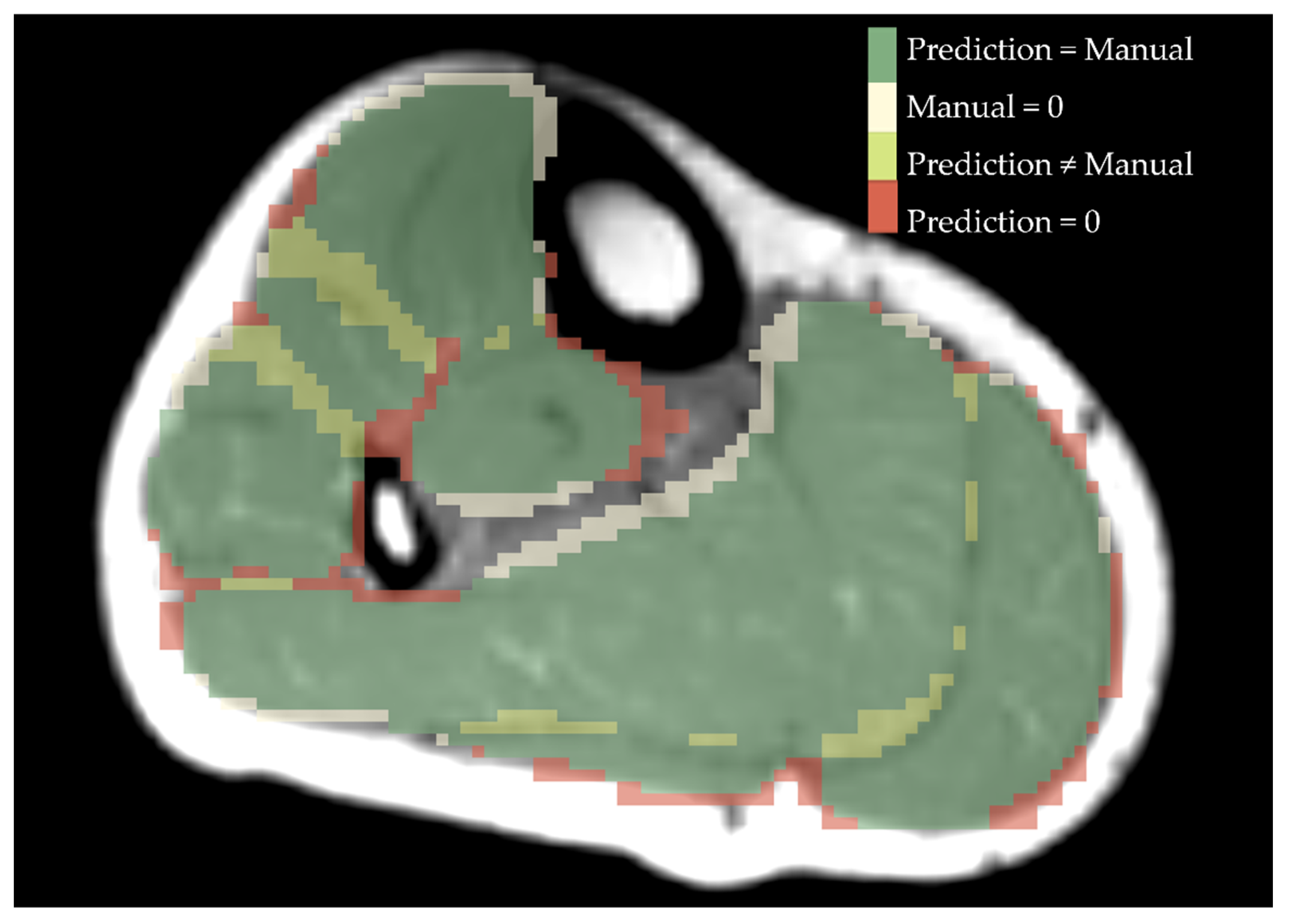 Diagnostics 11 01747 g004