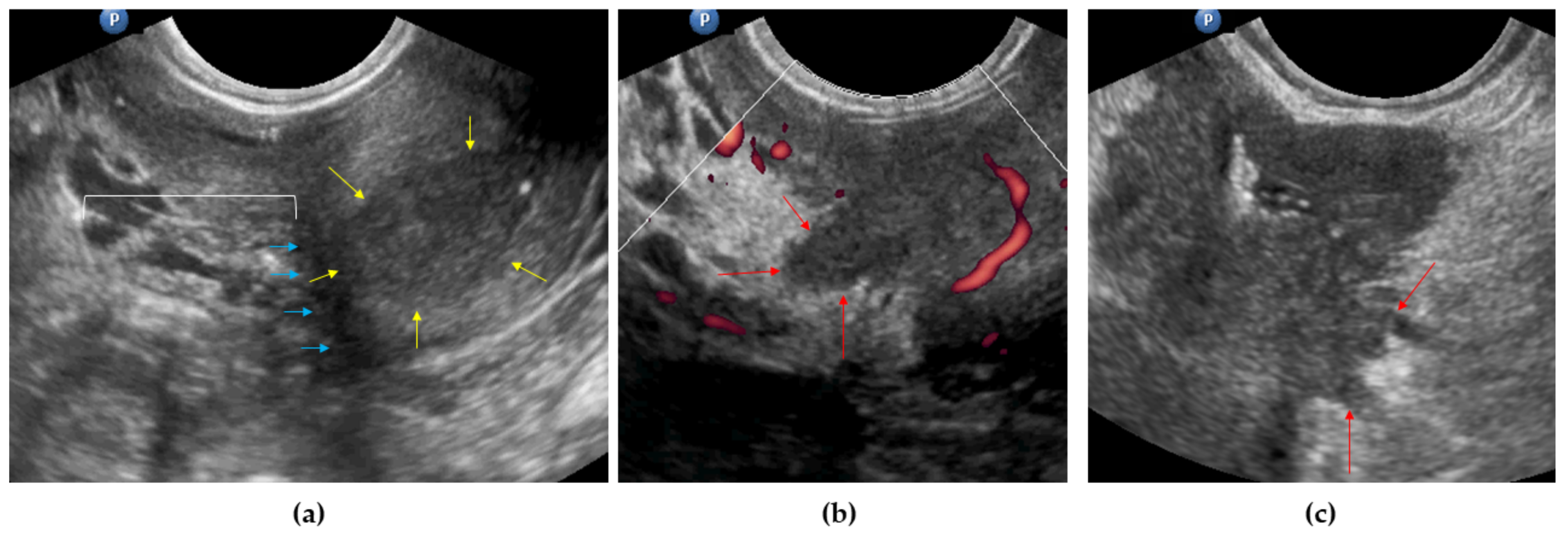 Diagnostics 11 01749 g004