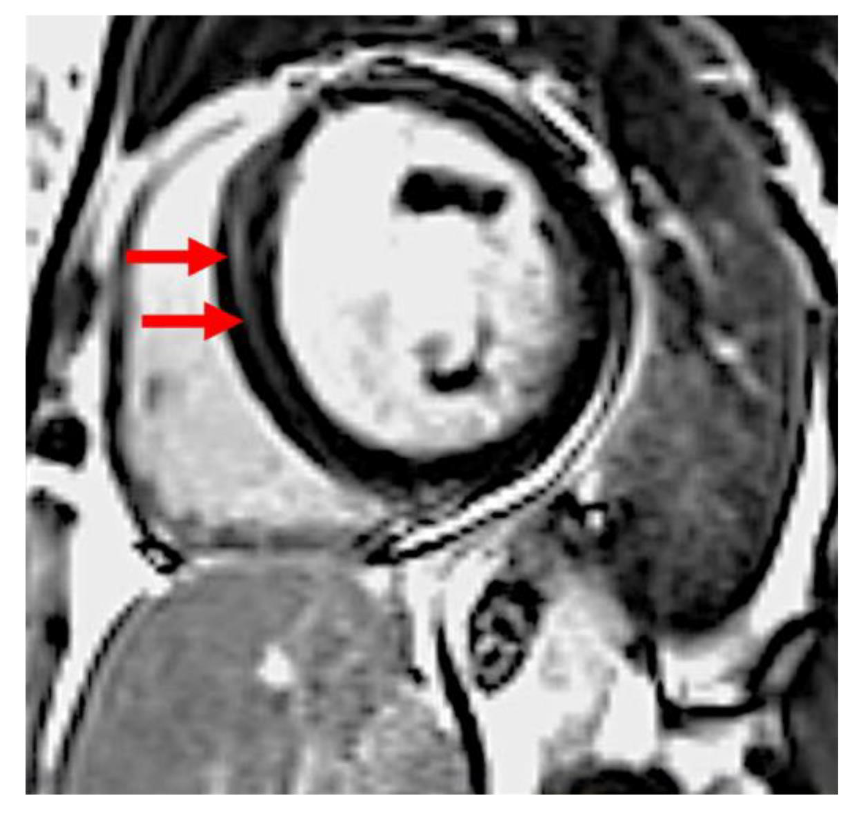 Diagnostics 11 01752 g001