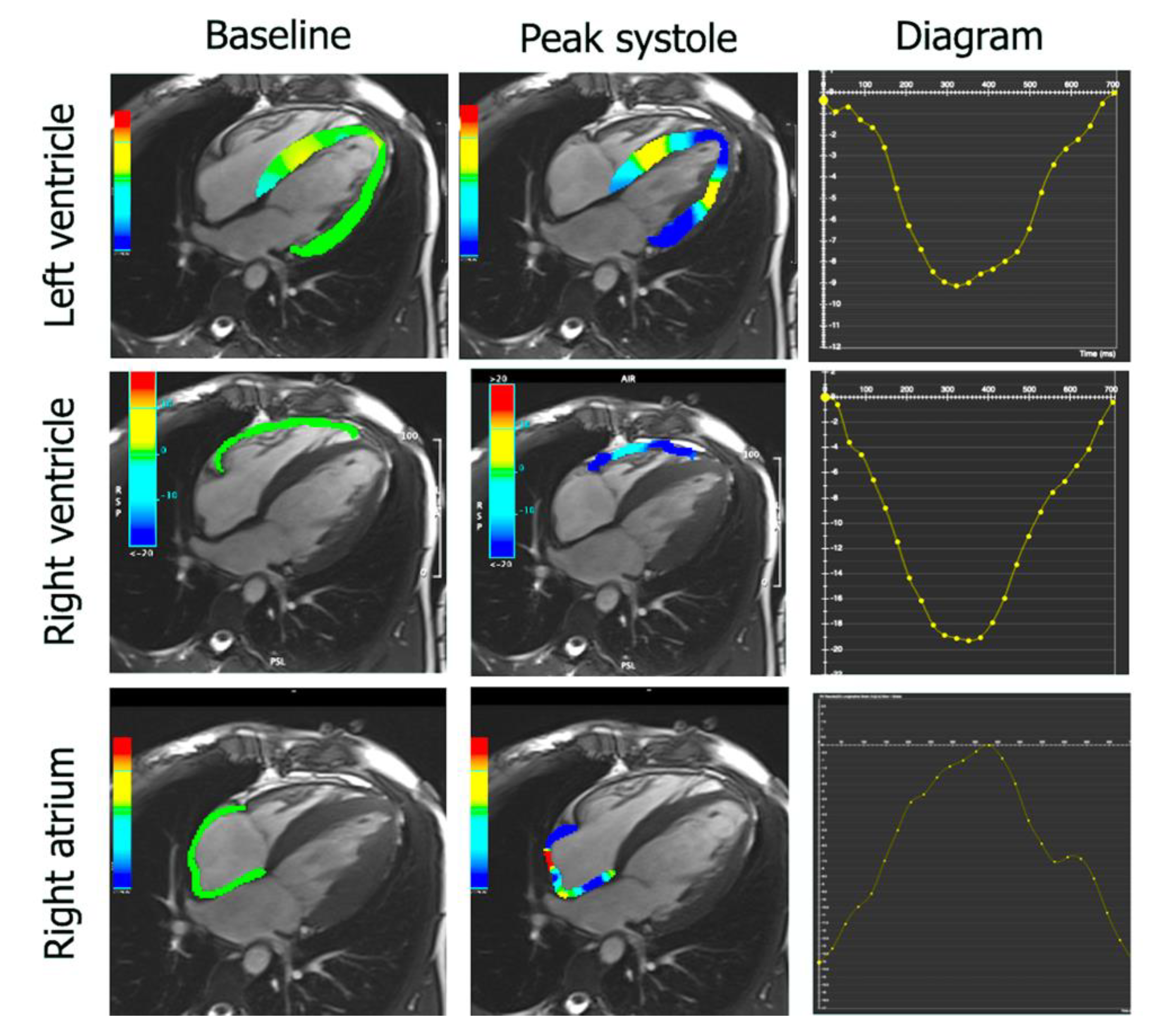 Diagnostics 11 01752 g002