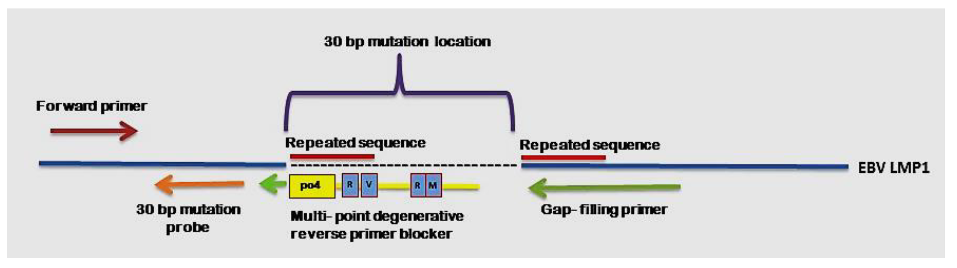 Diagnostics 11 01761 g002 Diagnostics 11 01761 g002