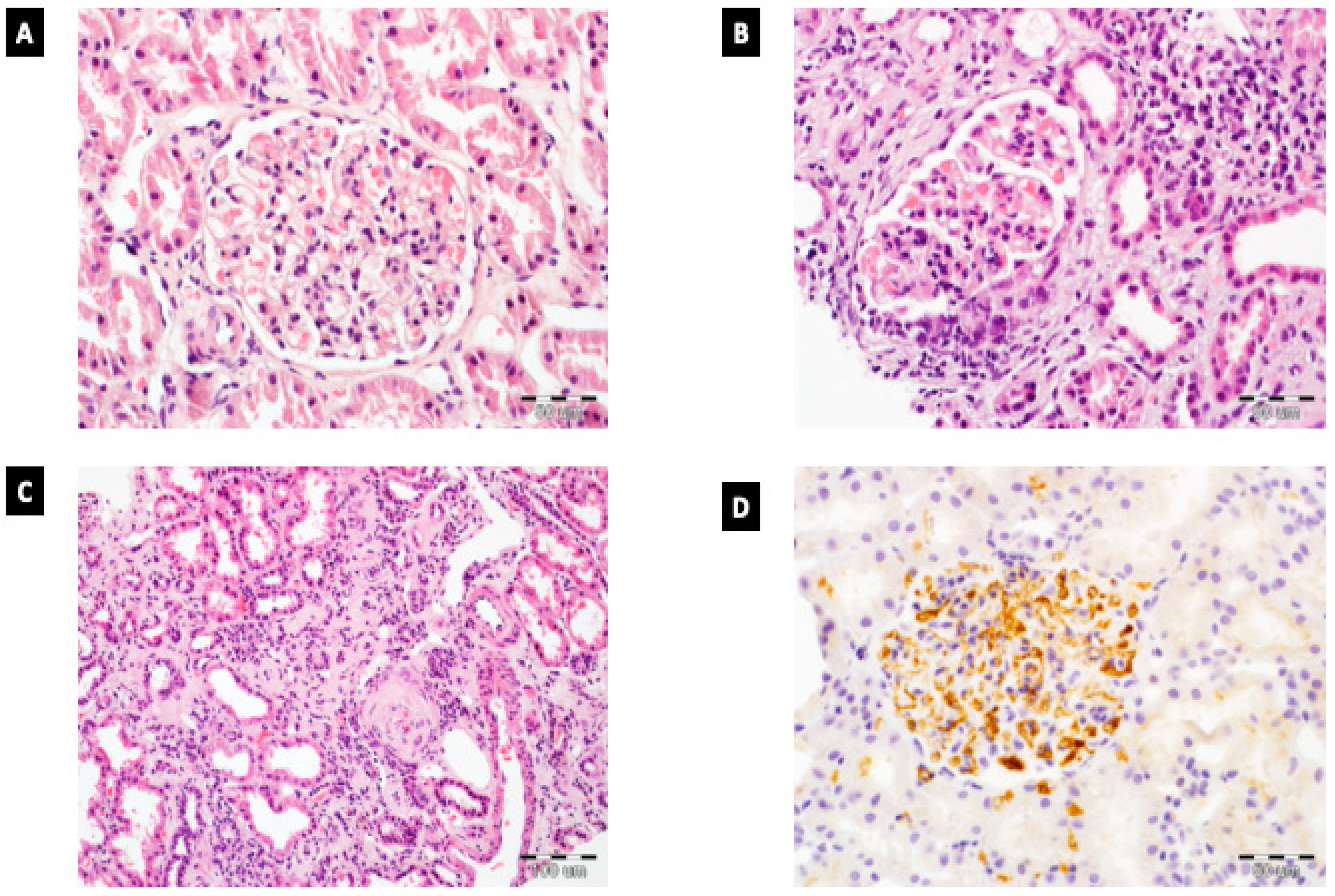 Diagnostics 11 01764 g001