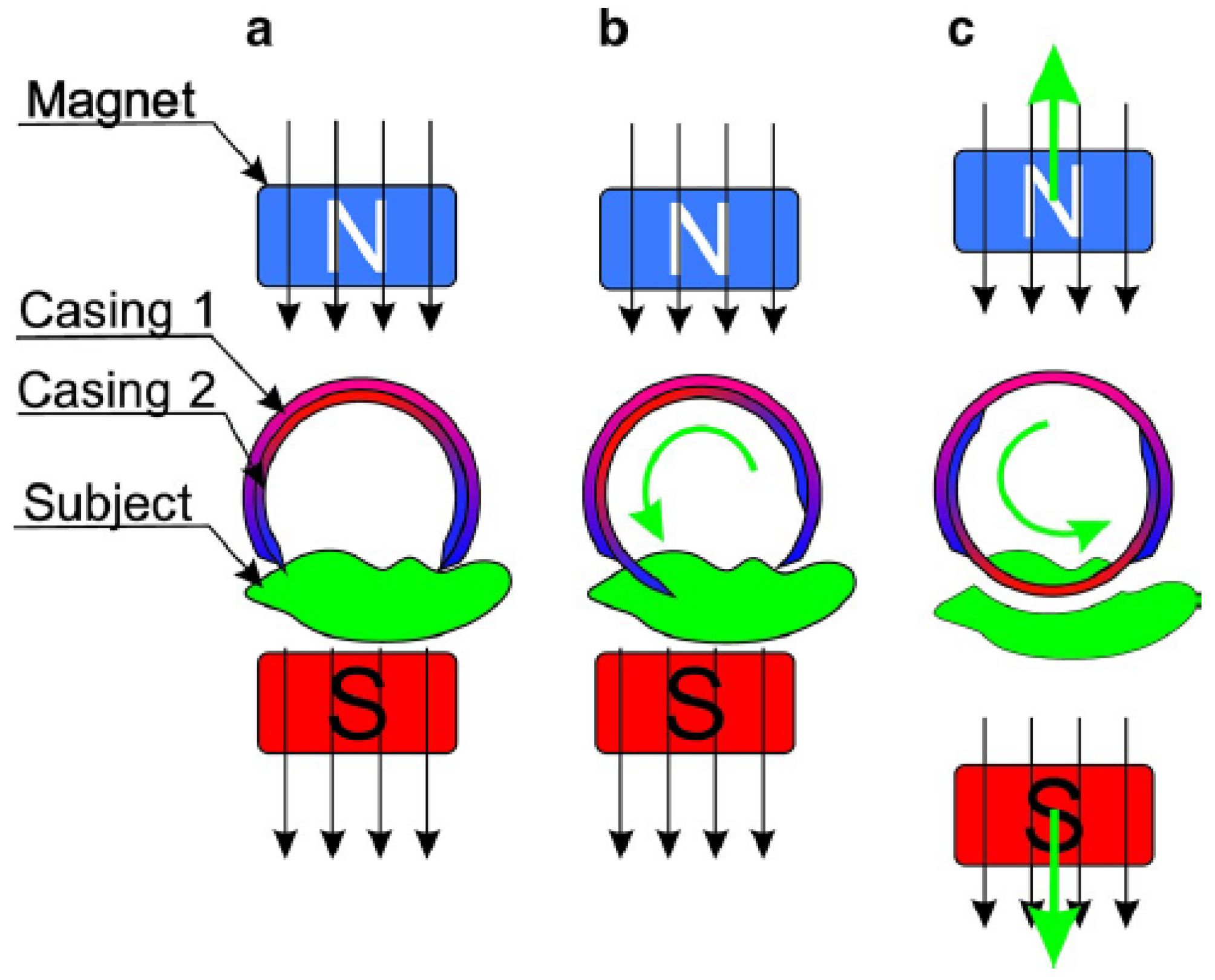Diagnostics 11 01765 g010