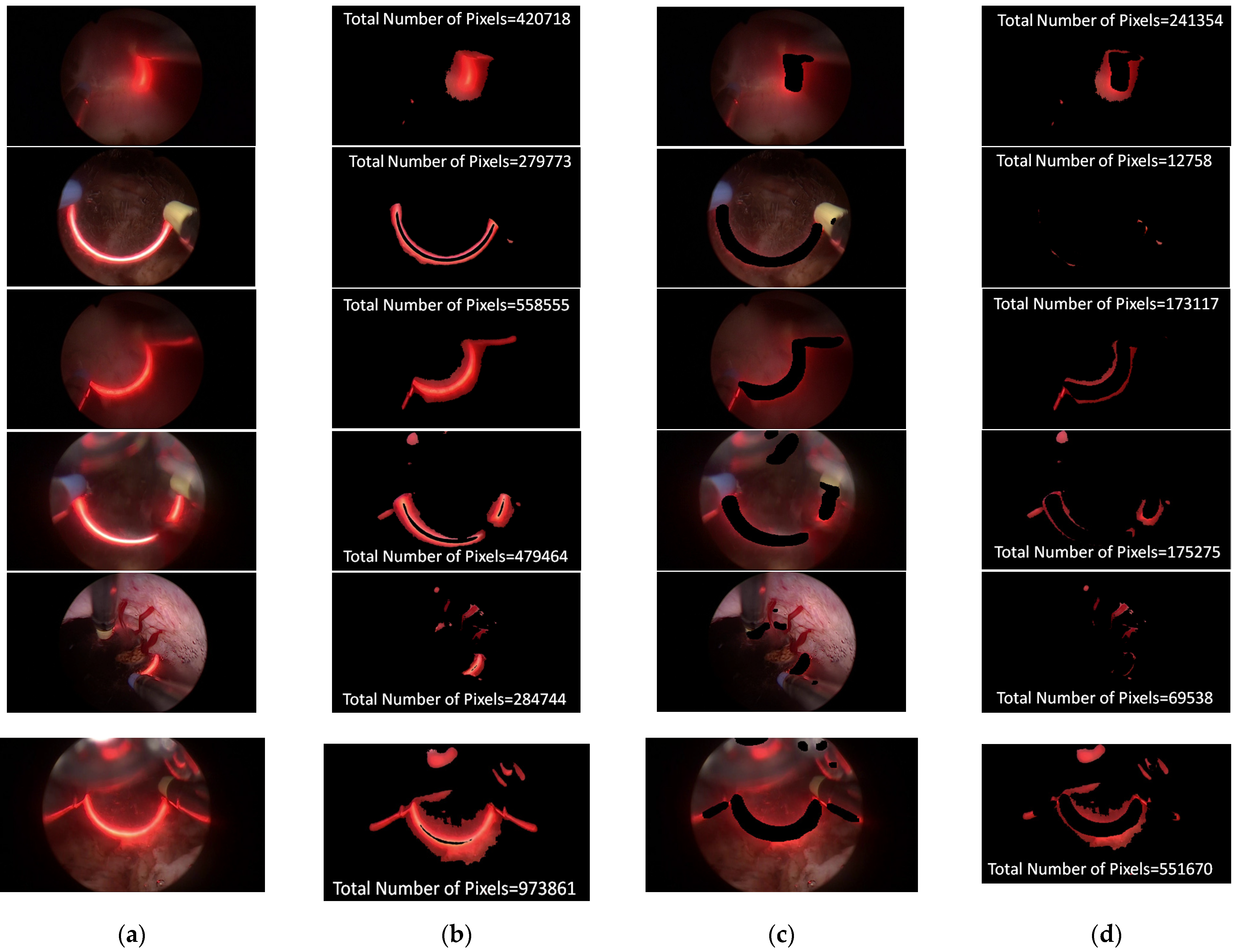 Diagnostics 11 01767 g004 550