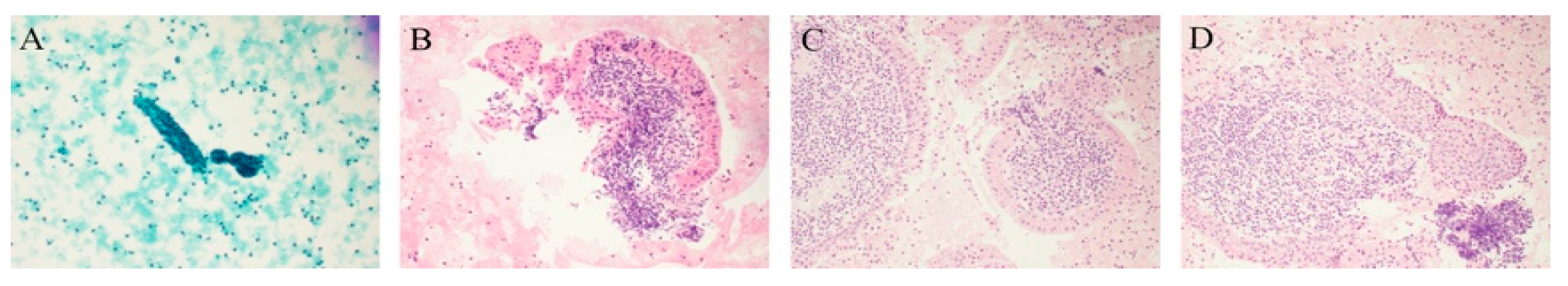 Diagnostics 11 01778 g001