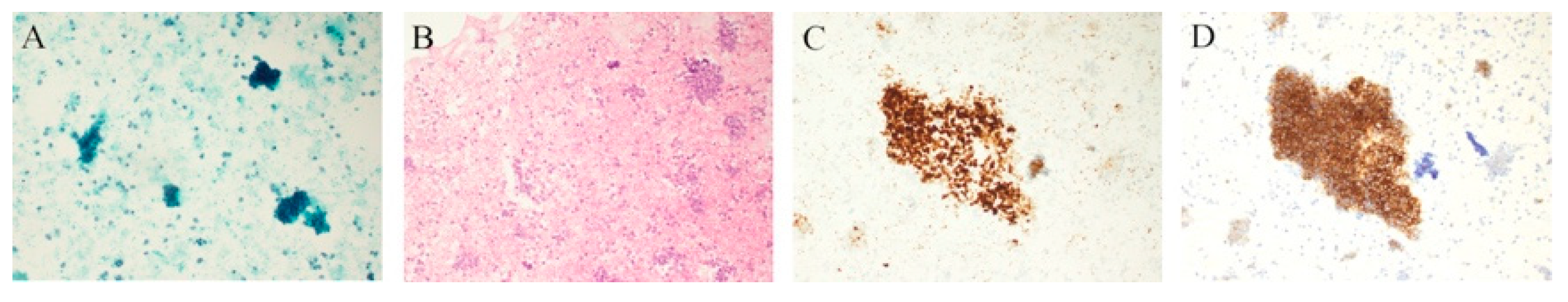 Diagnostics 11 01778 g006