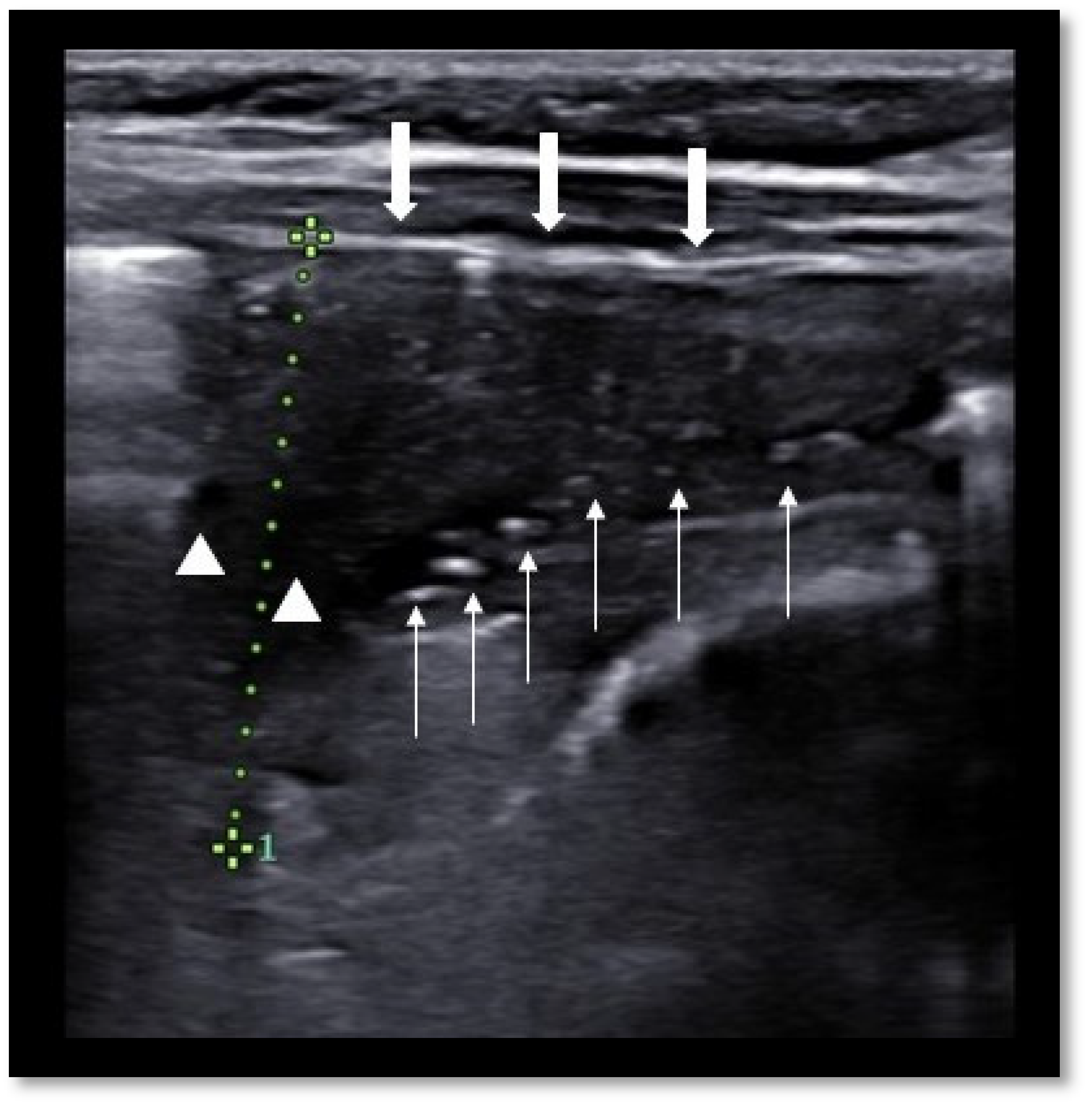 Diagnostics 11 01783 g001 550