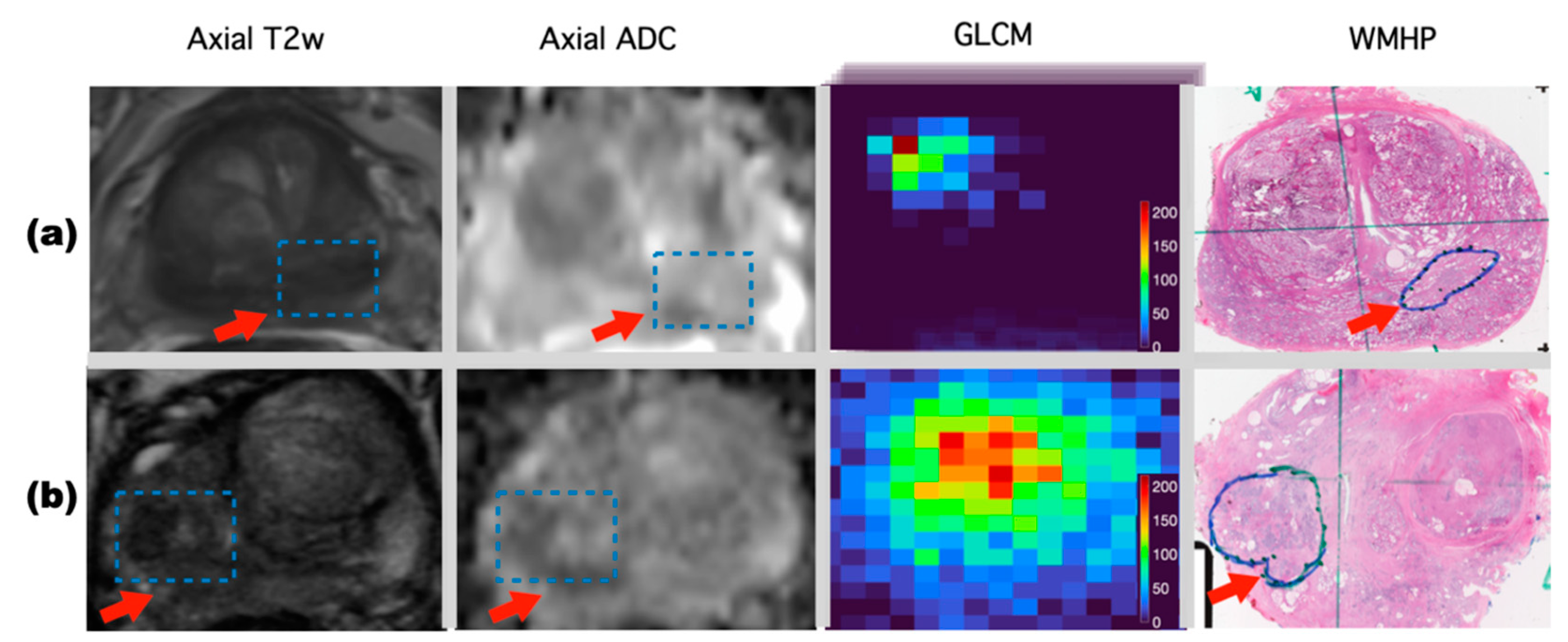 Diagnostics 11 01785 g002