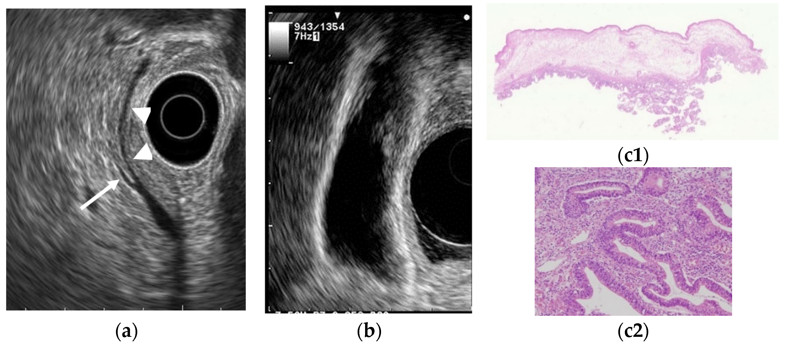 Diagnostics 11 01789 g005