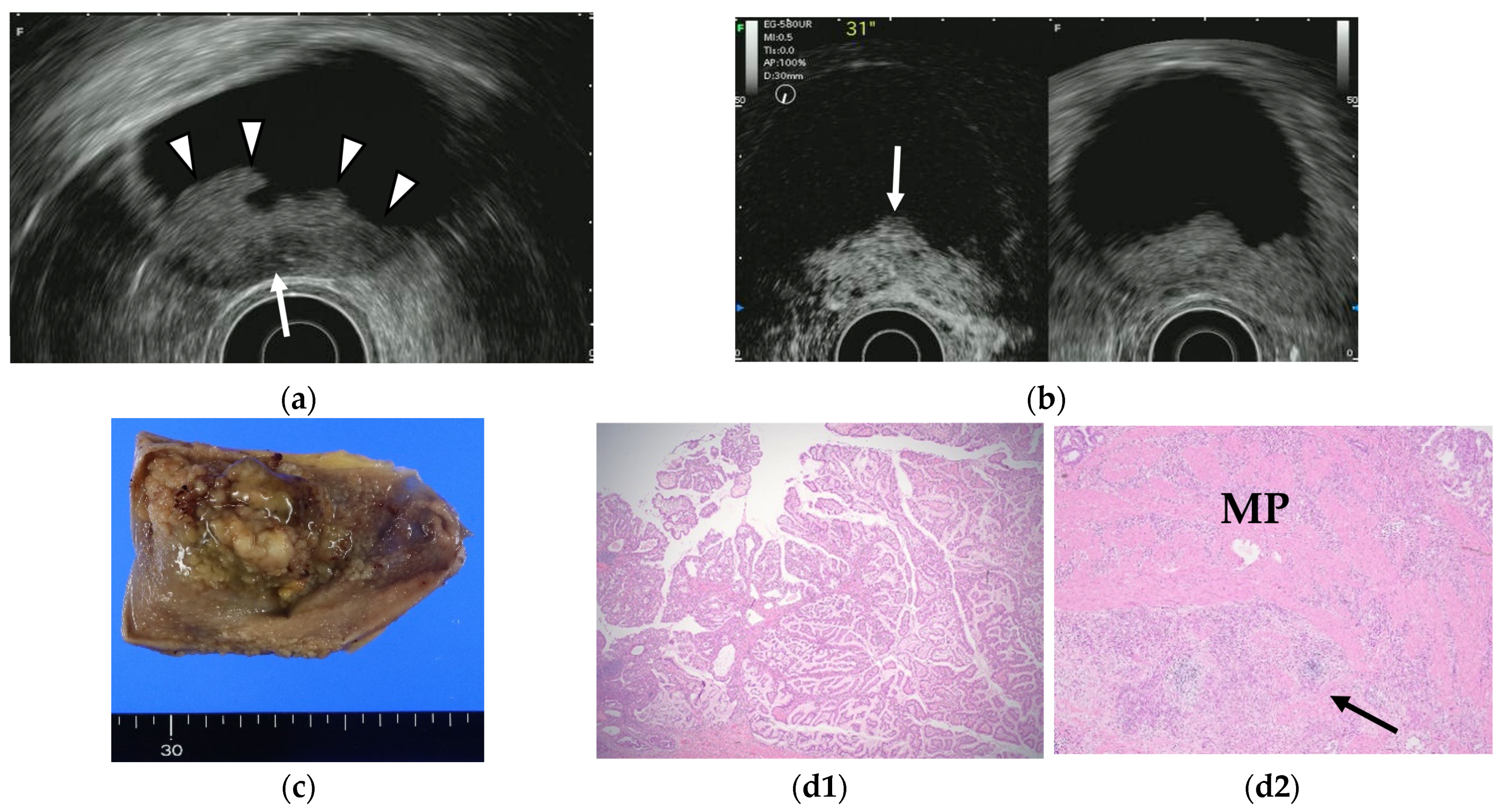 Diagnostics 11 01789 g007