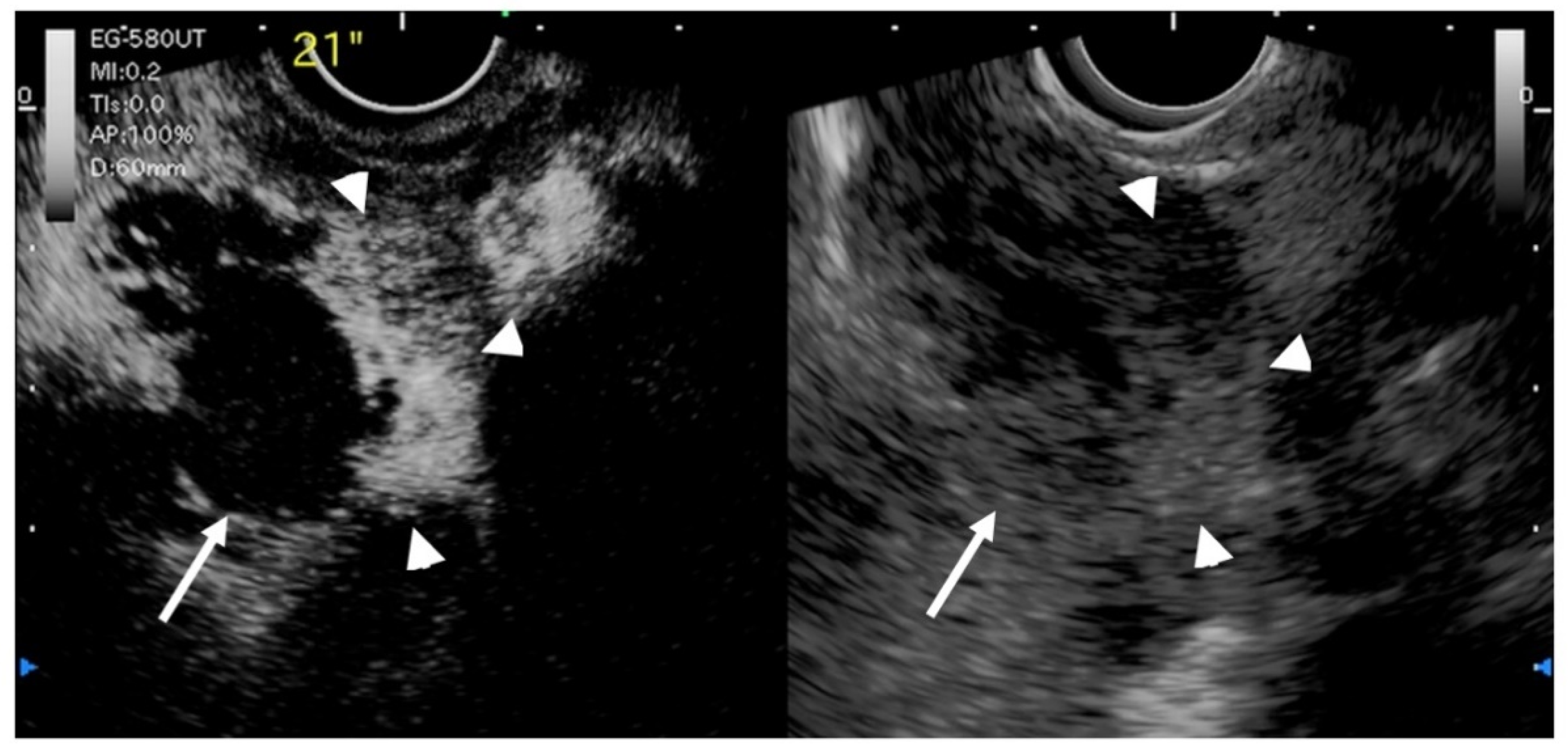 Diagnostics 11 01789 g008