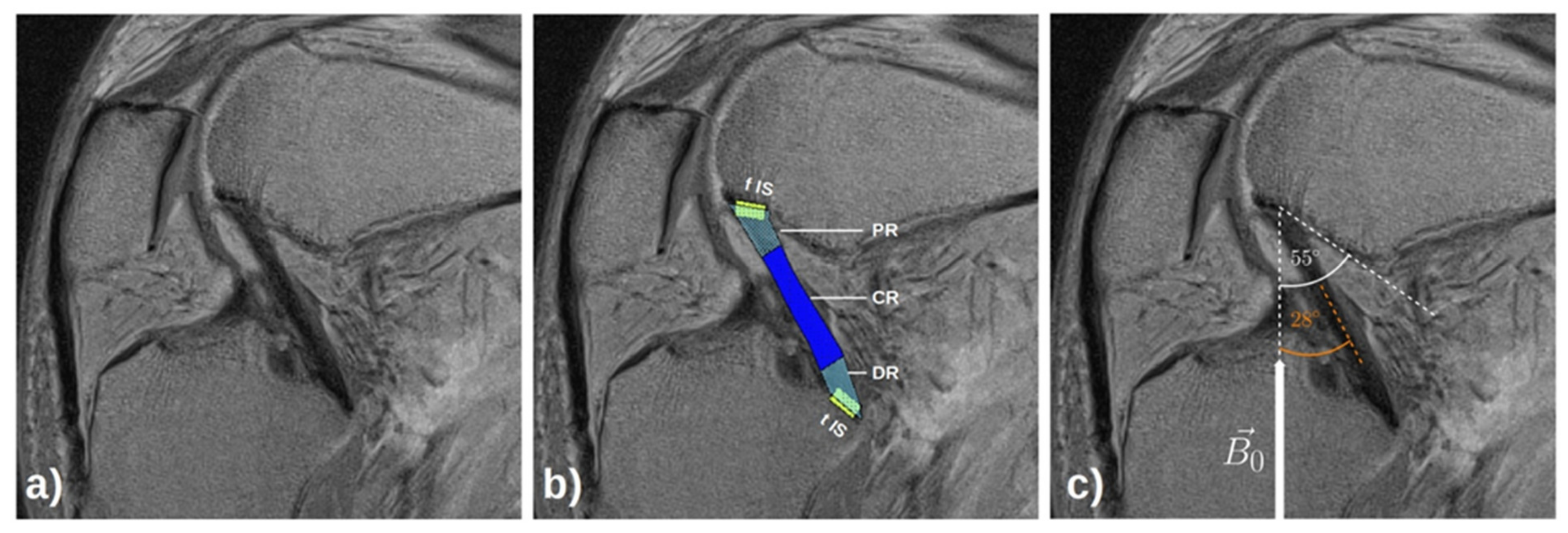 Diagnostics 11 01790 g002 550