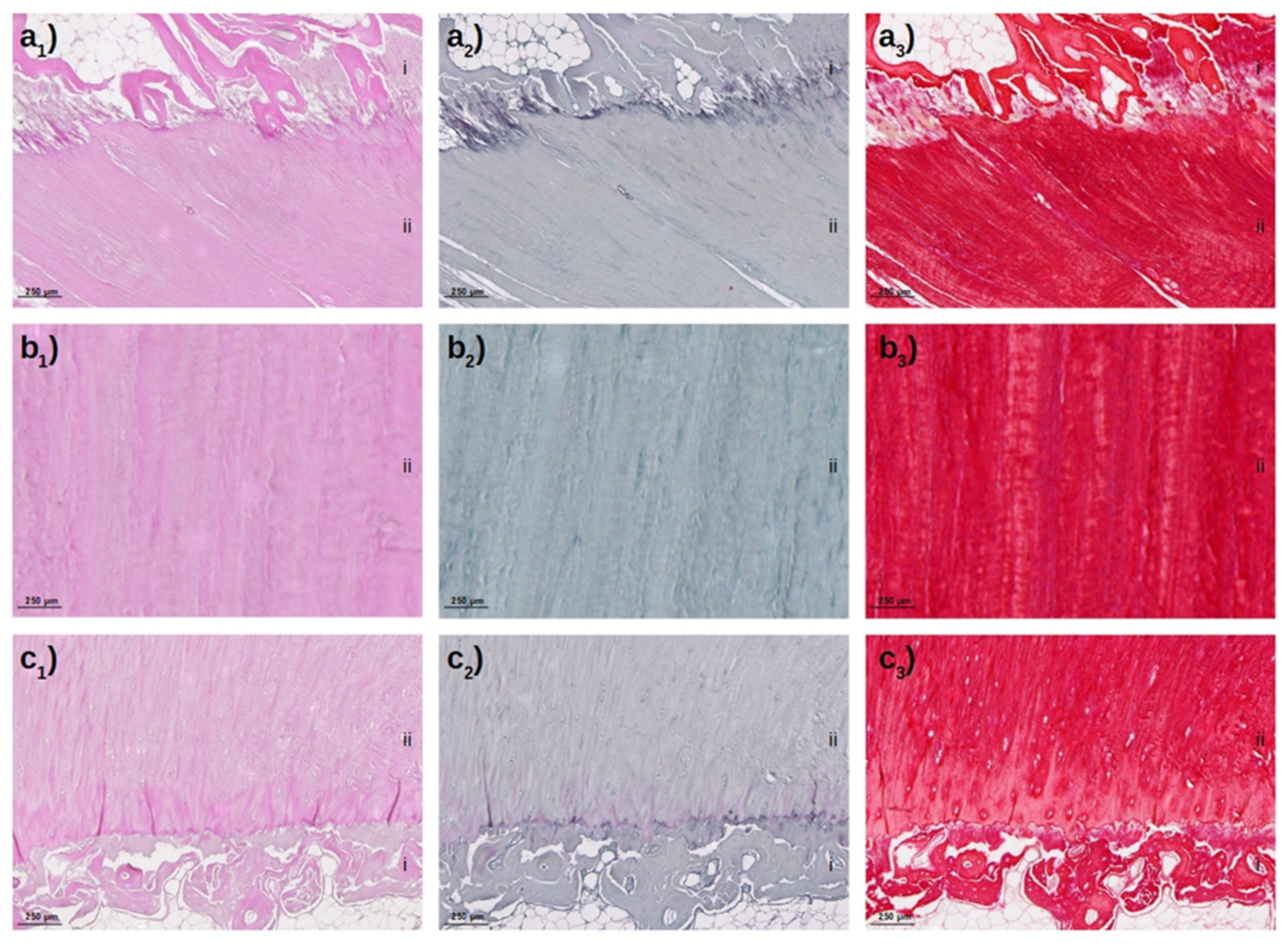 Diagnostics 11 01790 g003 550