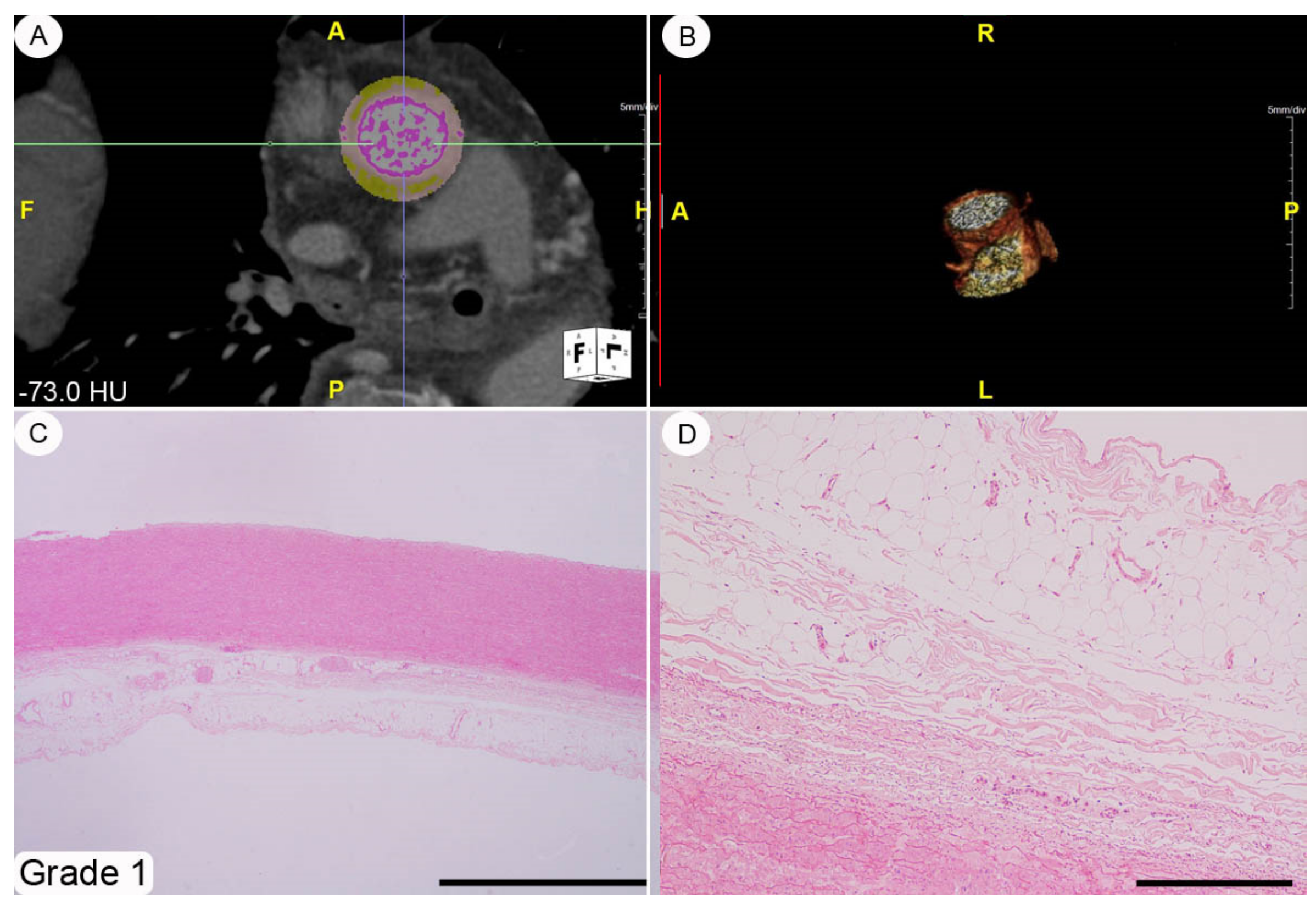Diagnostics 11 01799 g002 550