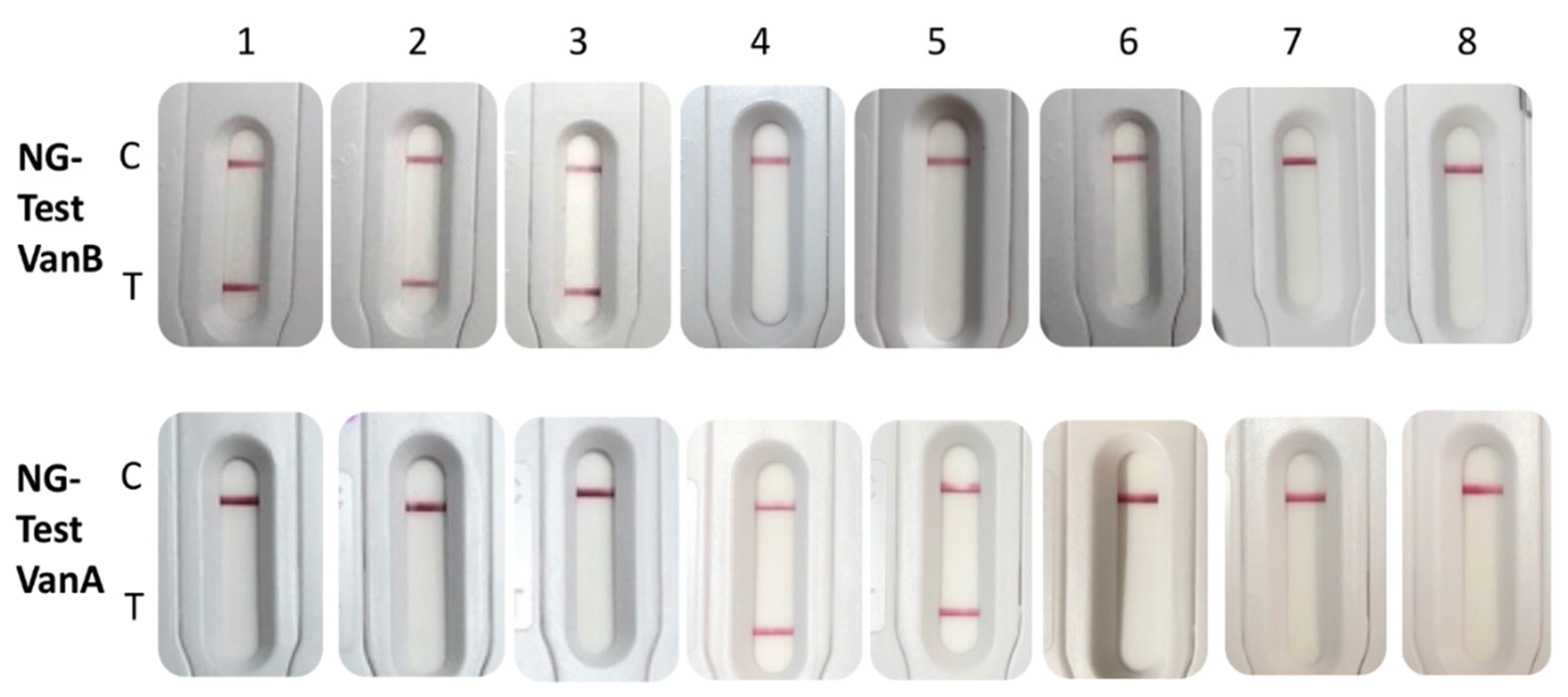 Diagnostics 11 01805 g002