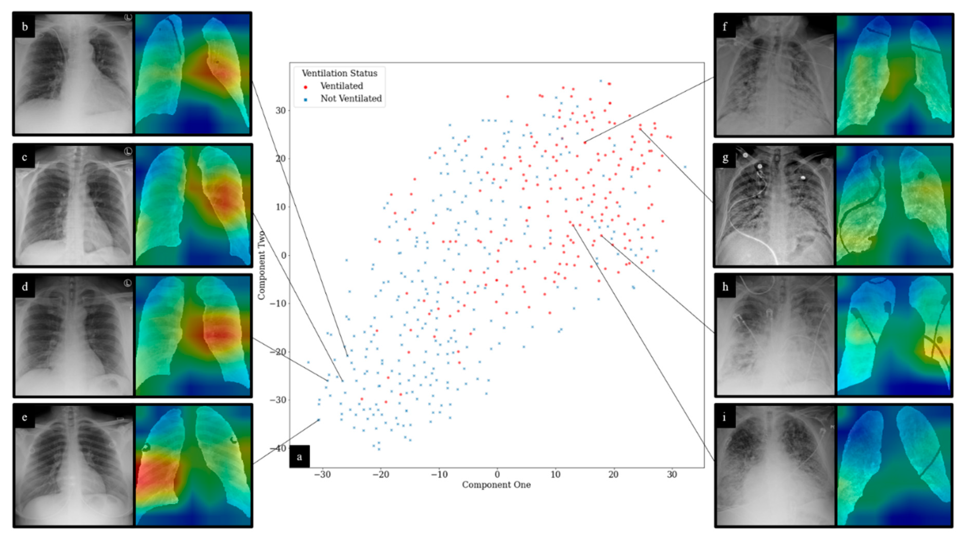 Diagnostics 11 01812 g009
