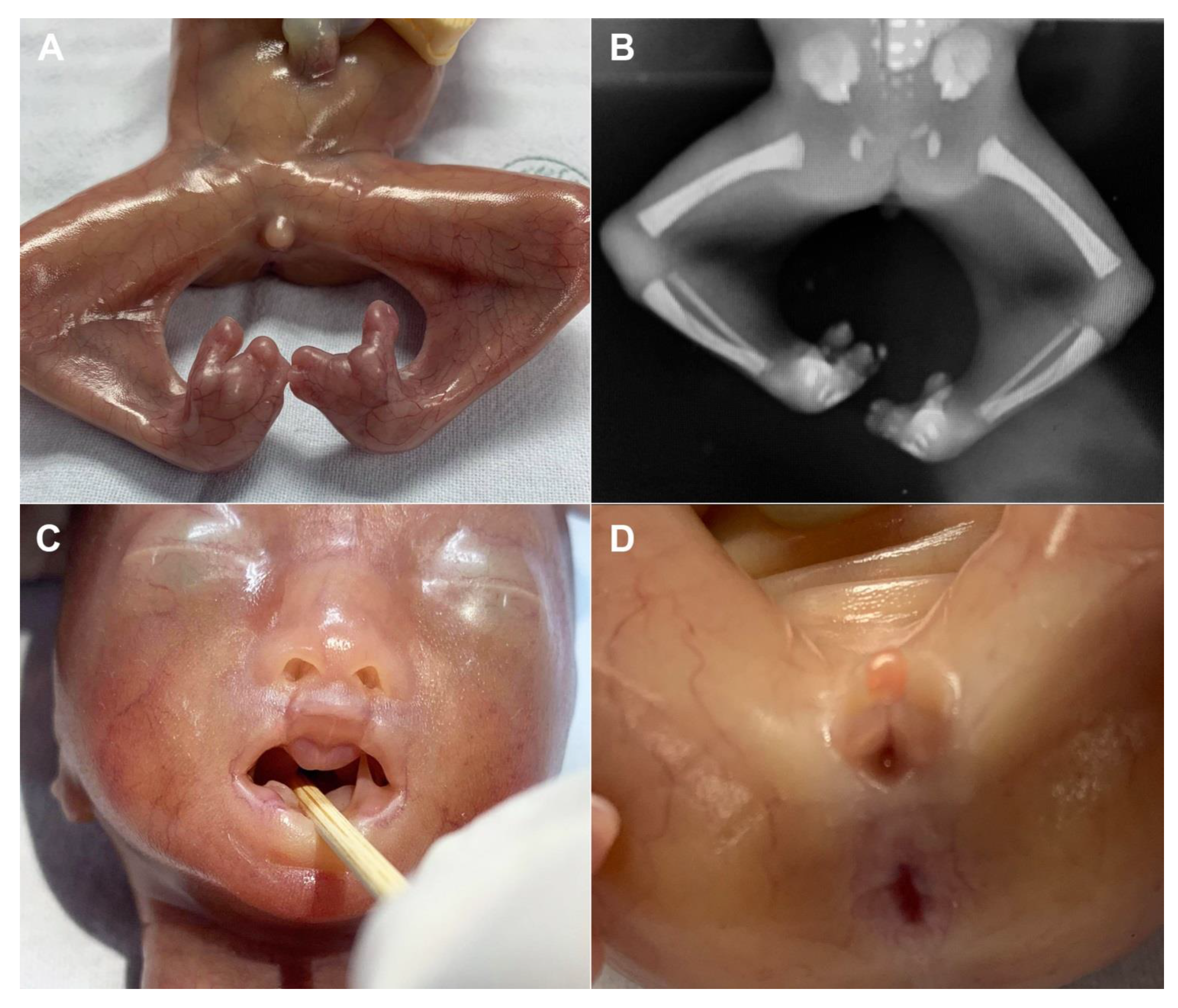 Diagnostics 11 01819 g002 550