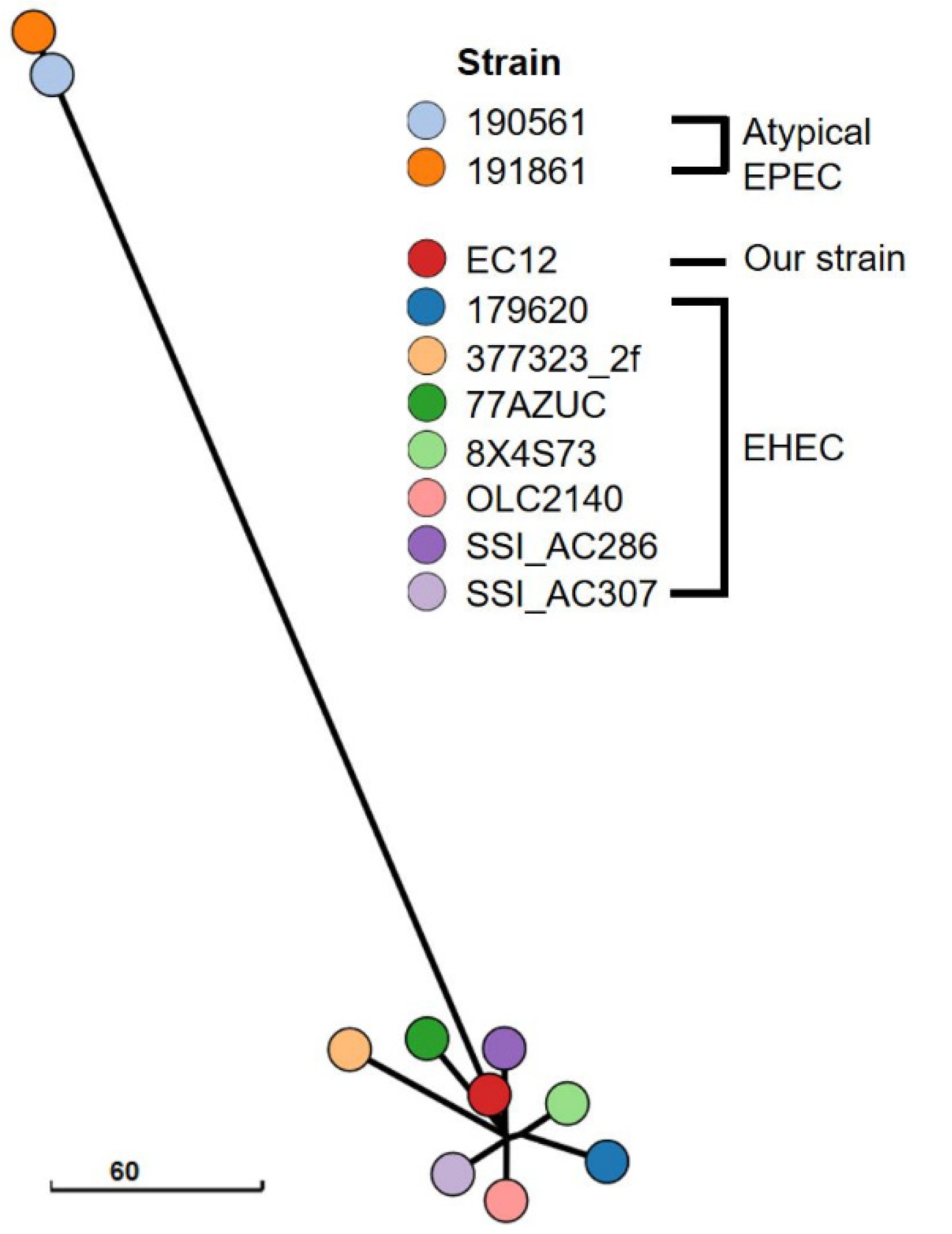 Diagnostics 11 01823 g002