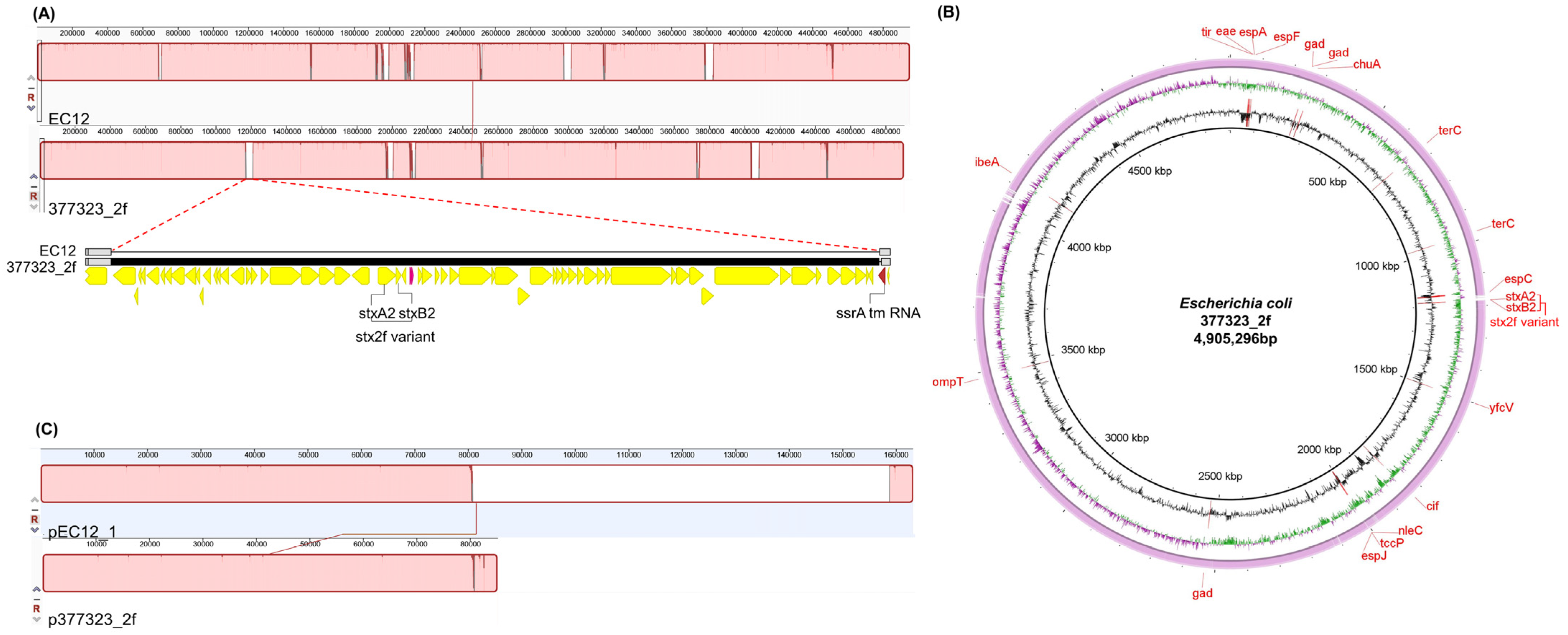 Diagnostics 11 01823 g003