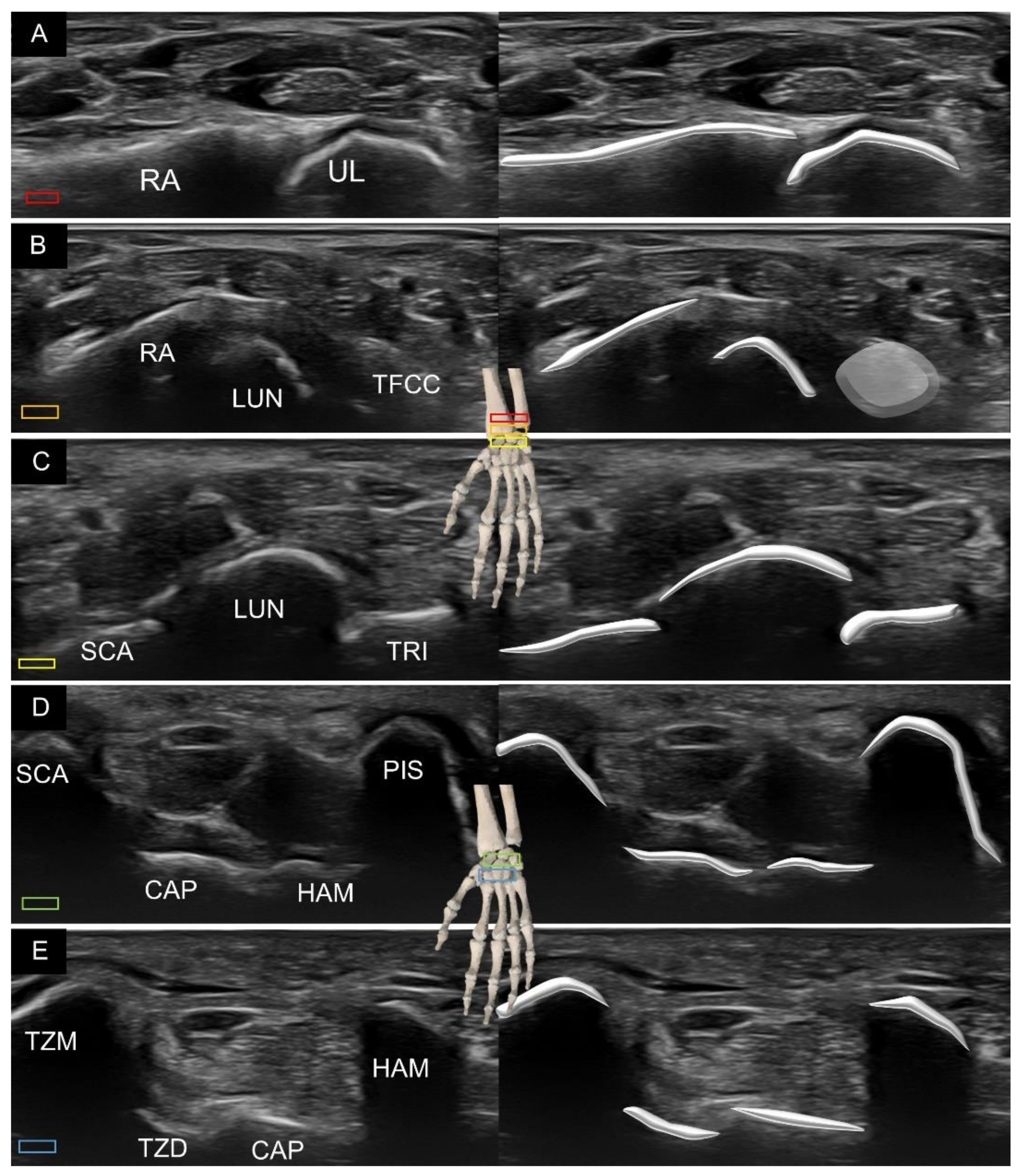 Diagnostics 11 01834 g001 550