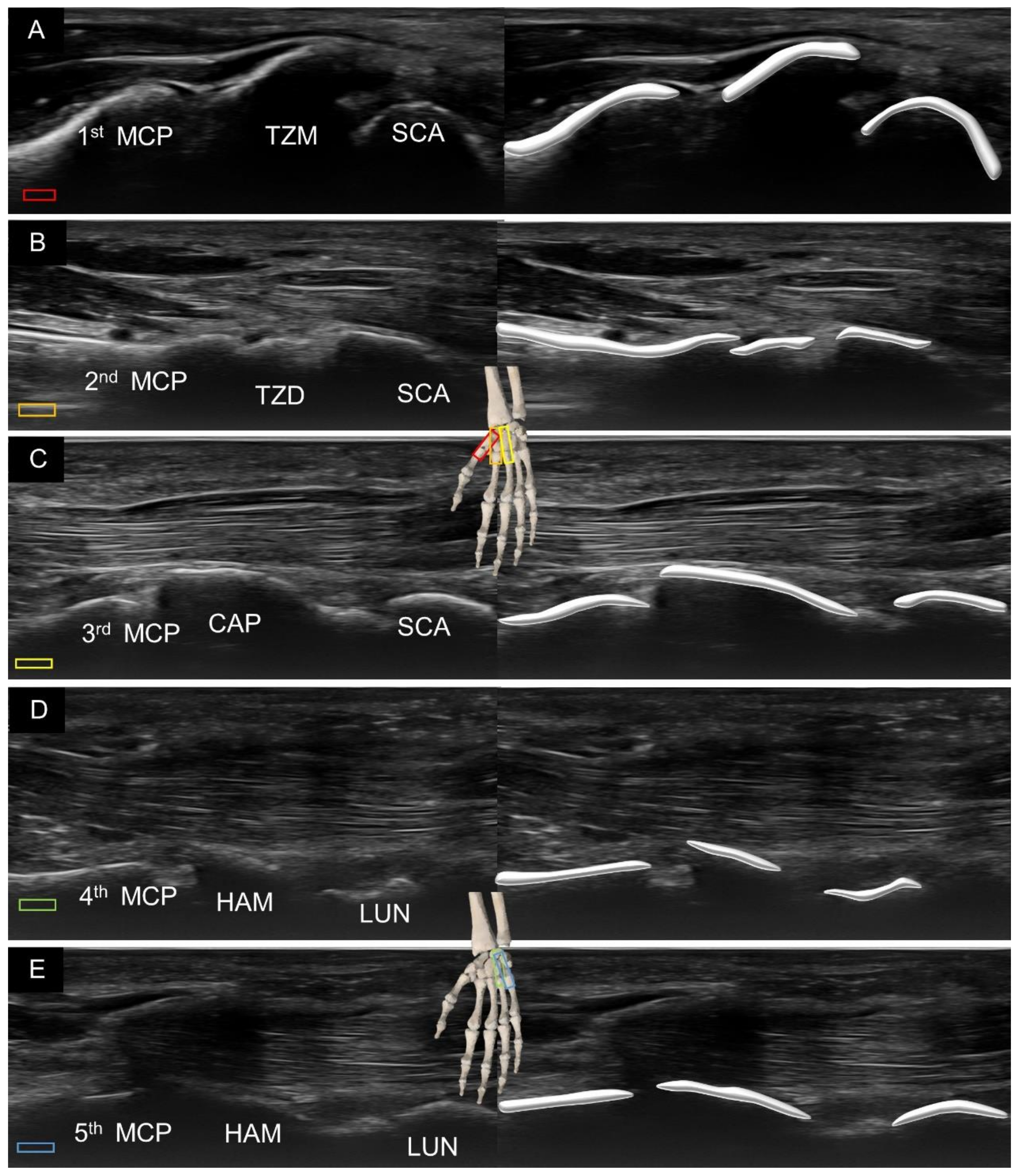 Diagnostics 11 01834 g003 550