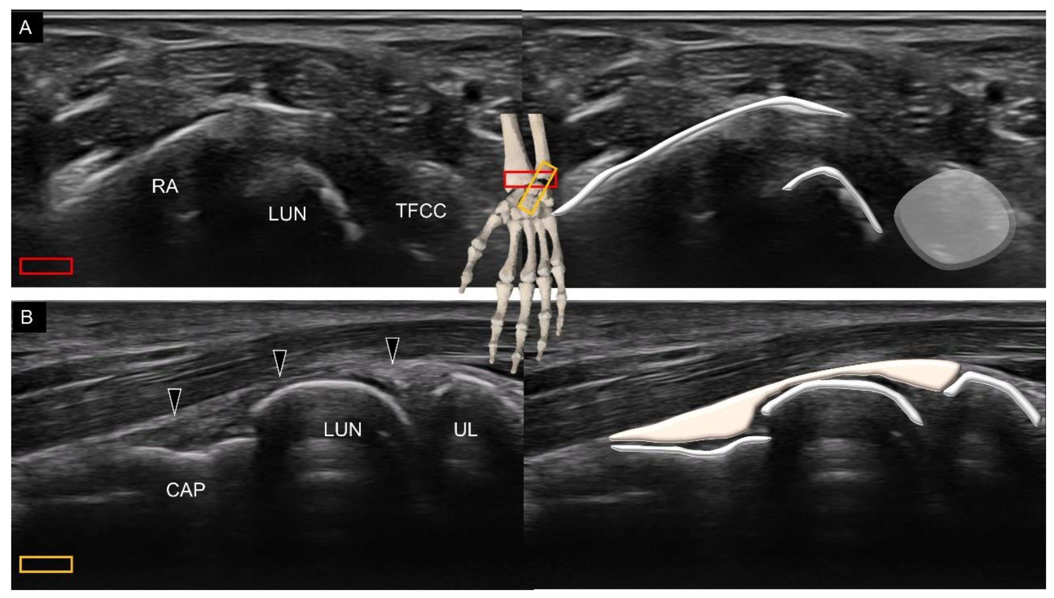 Diagnostics 11 01834 g007 550