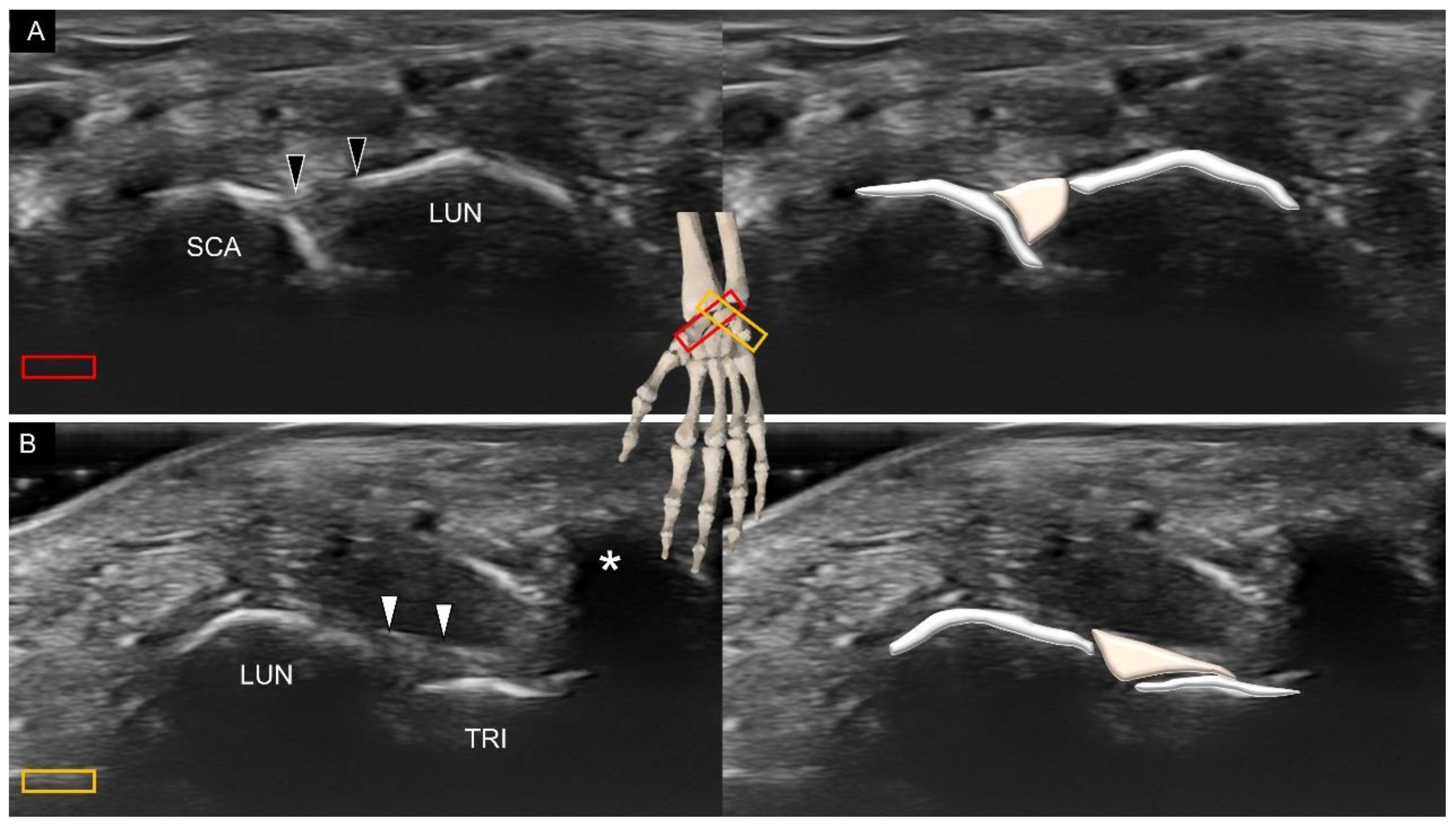 Diagnostics 11 01834 g011 550