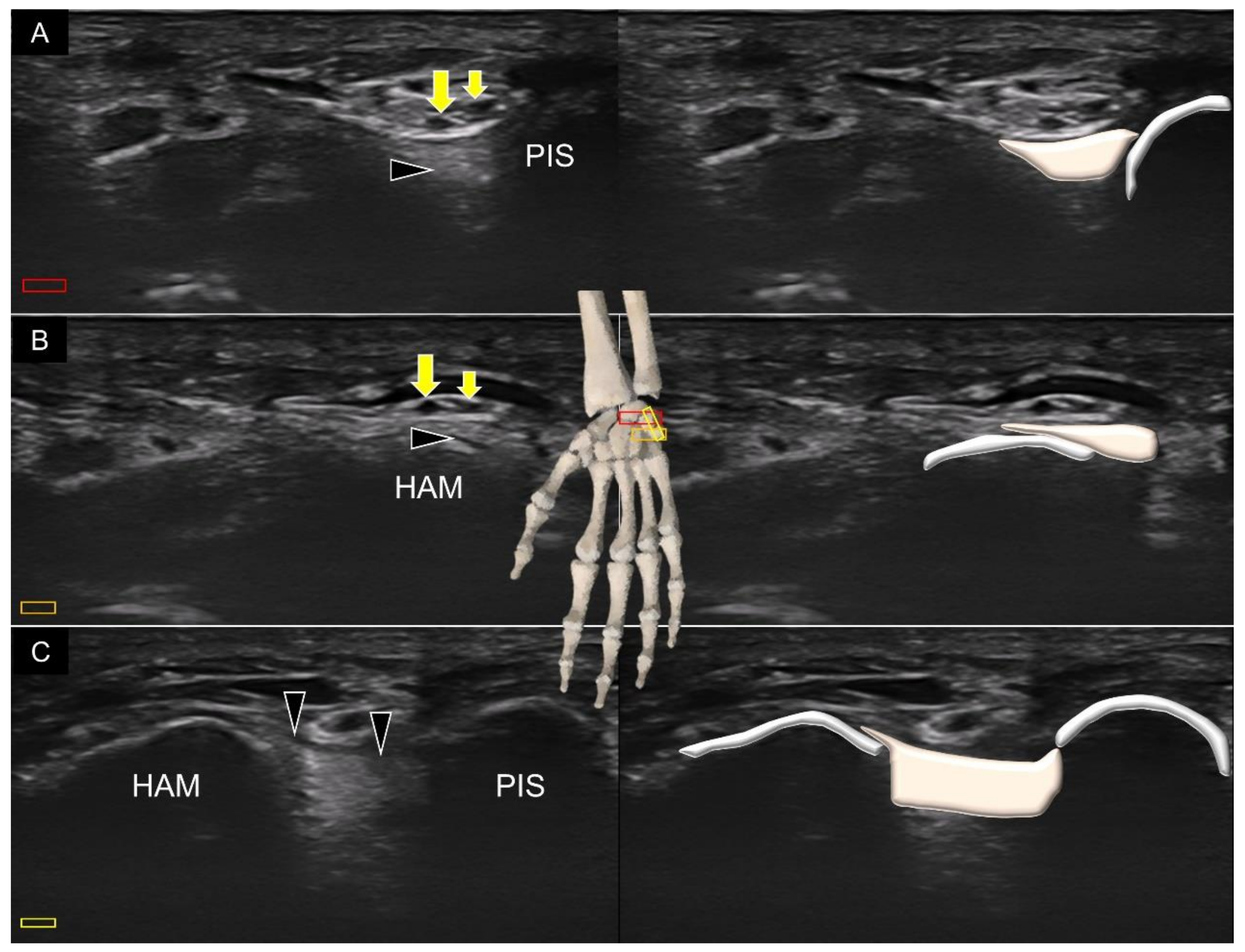 Diagnostics 11 01834 g012 550