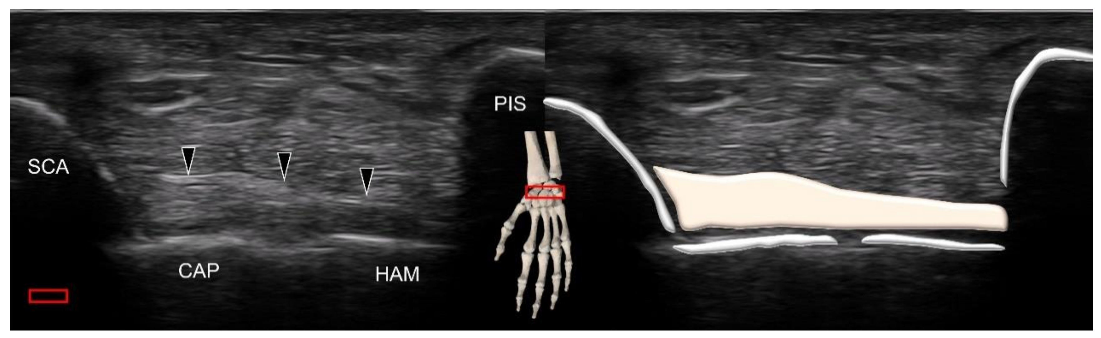 Diagnostics 11 01834 g013 550