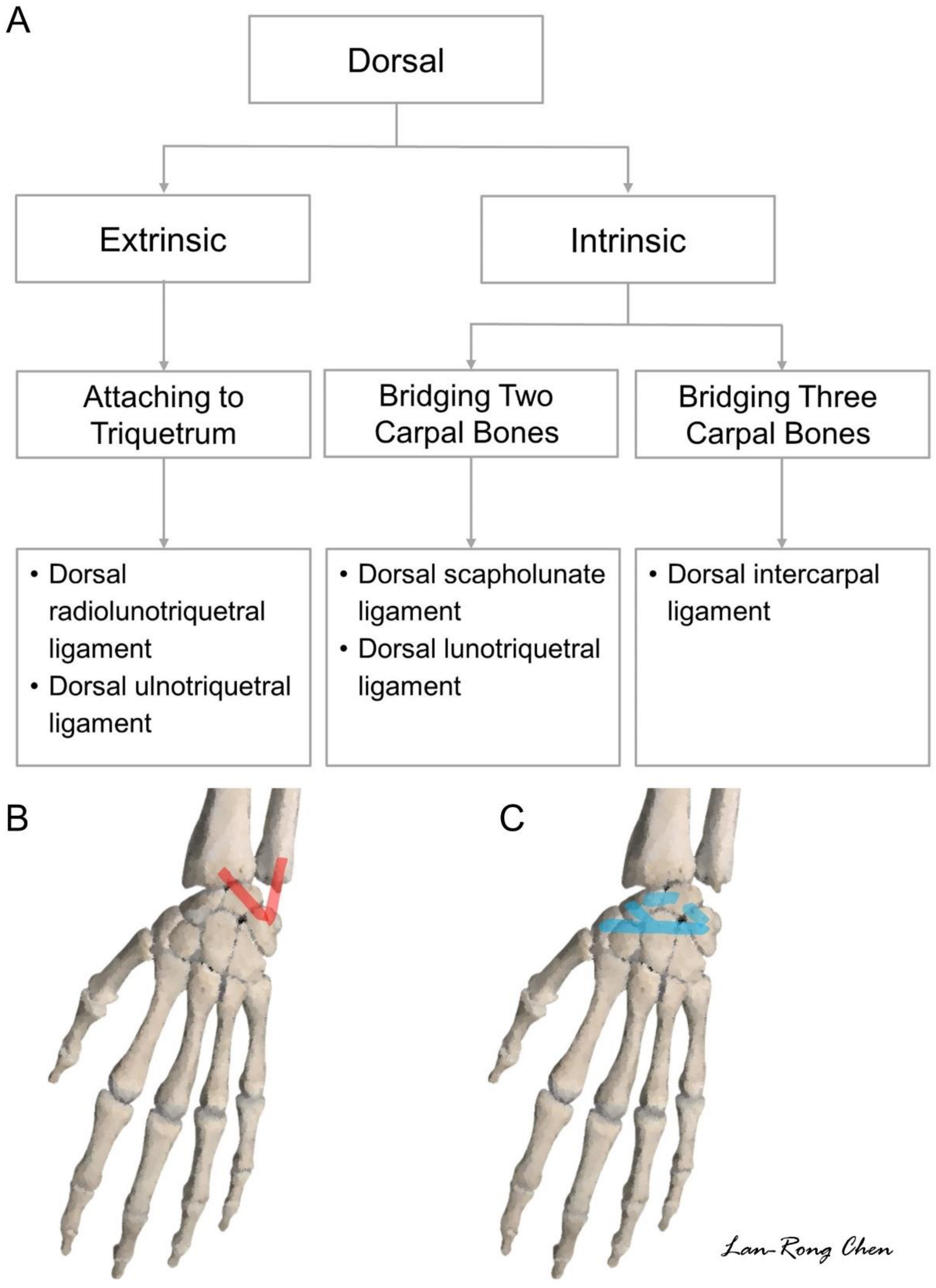 Diagnostics 11 01834 g014 550