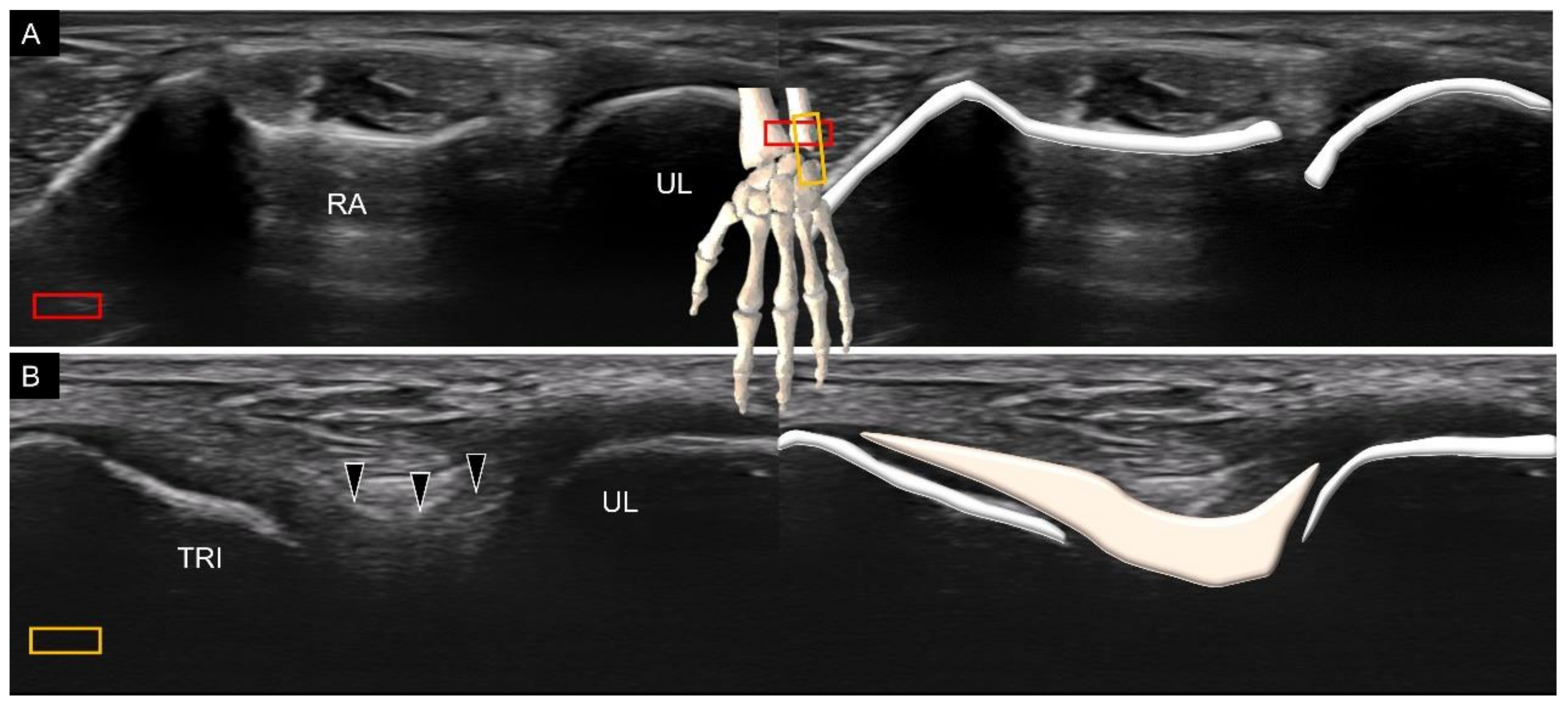 Diagnostics 11 01834 g016 550