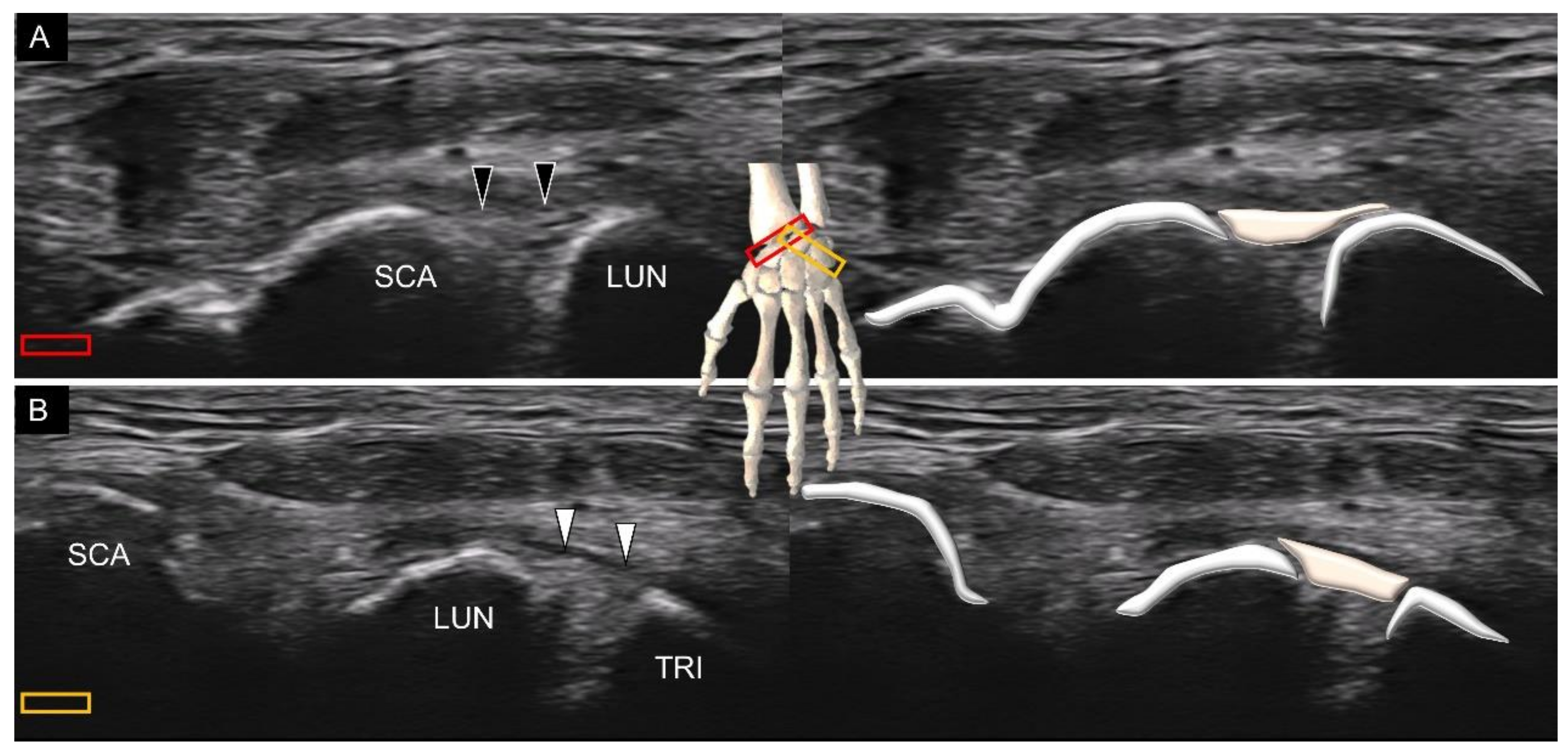 Diagnostics 11 01834 g017 550