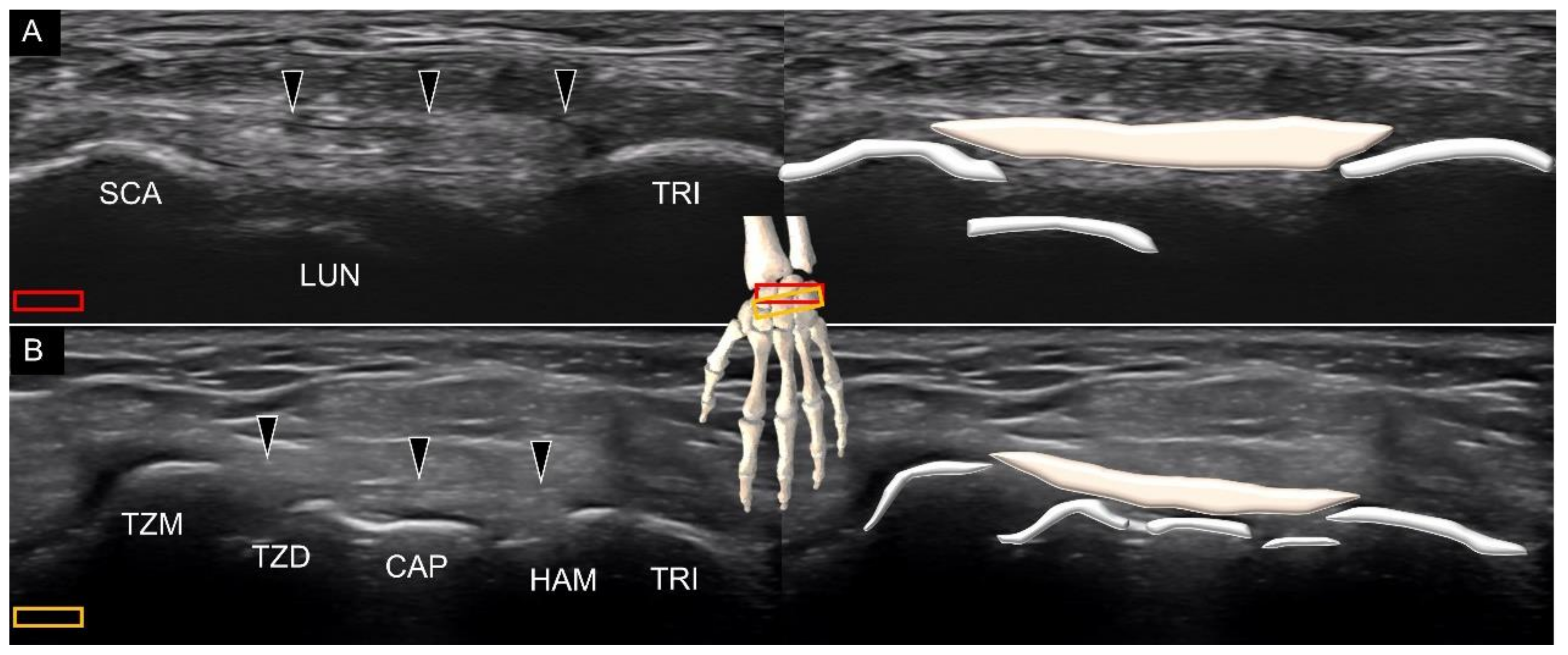 Diagnostics 11 01834 g018 550