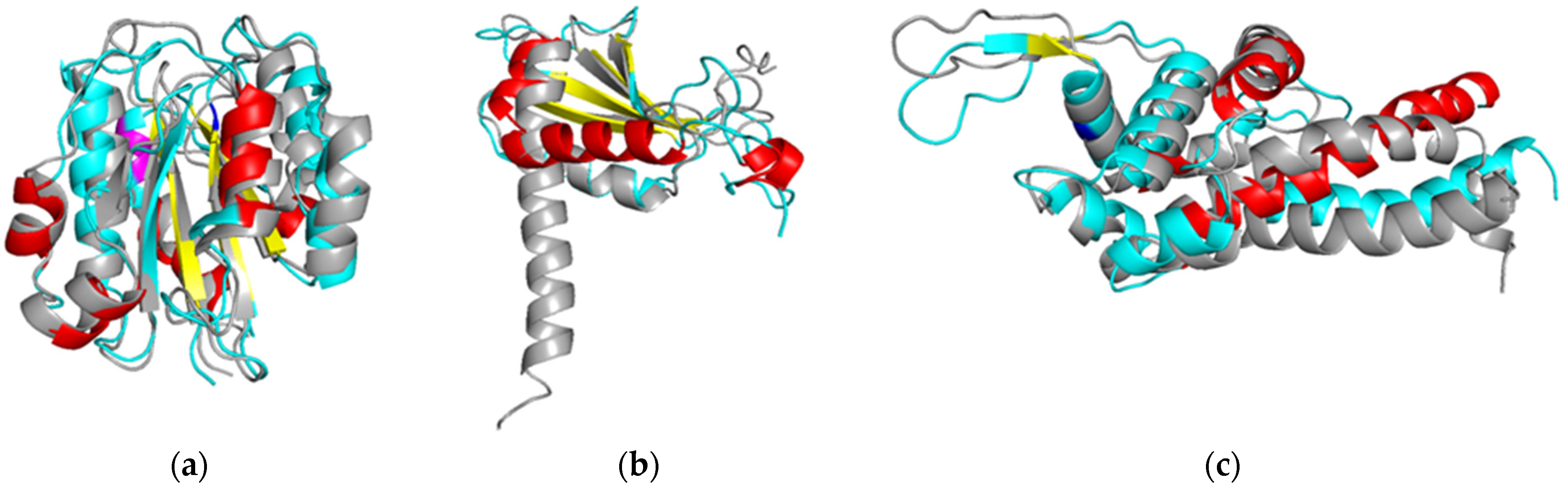 Diagnostics 11 01836 g002