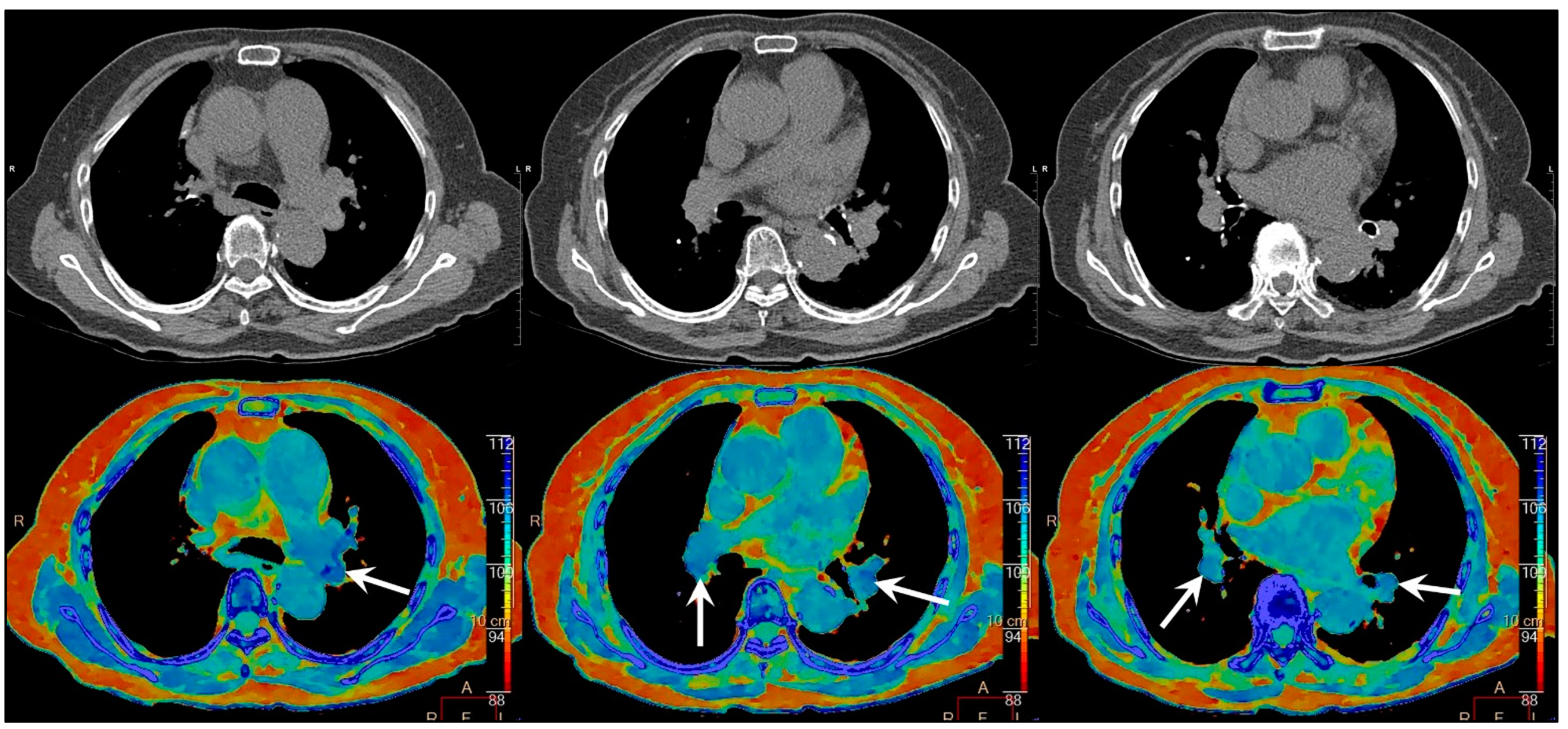 Diagnostics 11 01841 g003