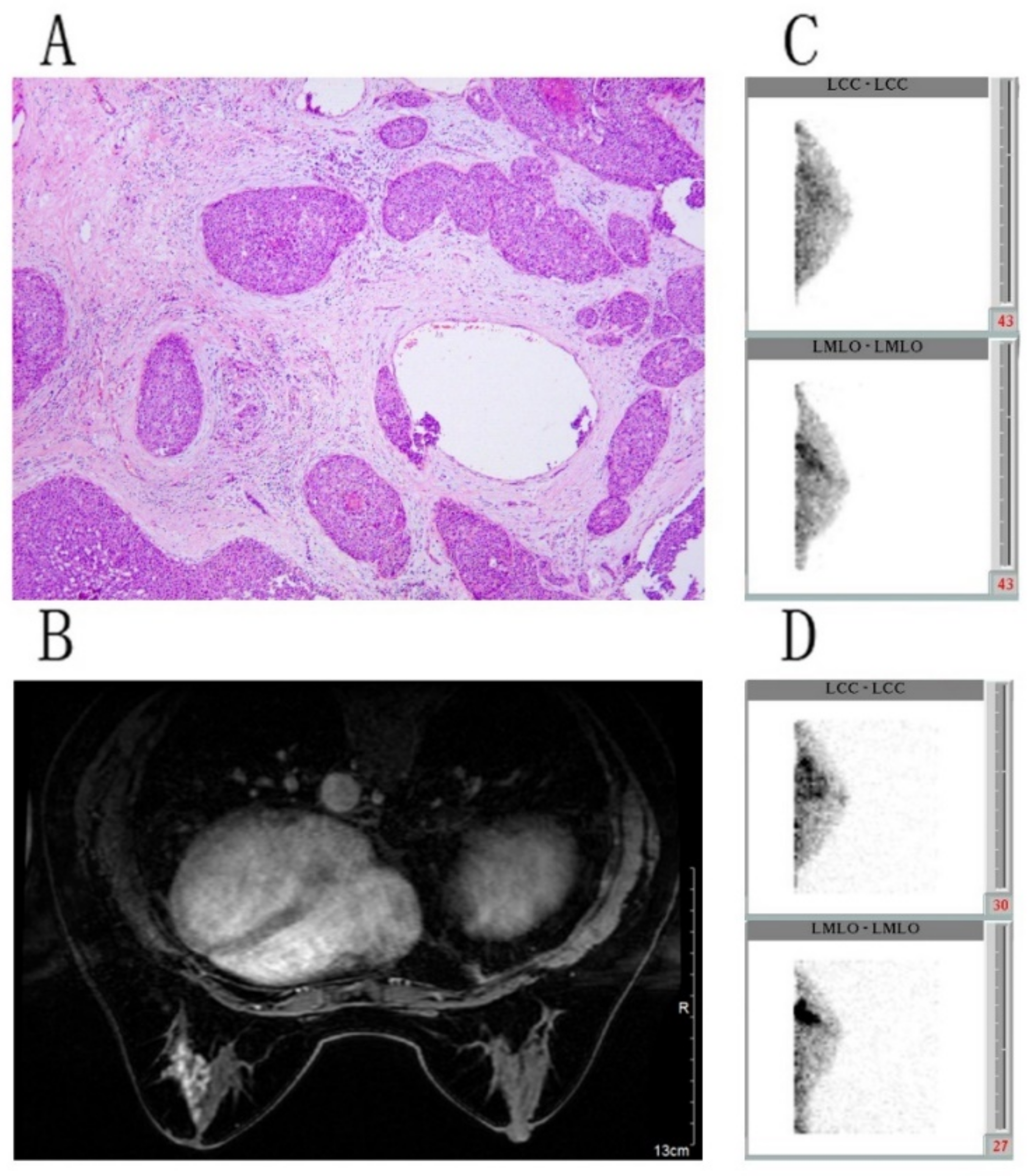 Diagnostics 11 01846 g002 550