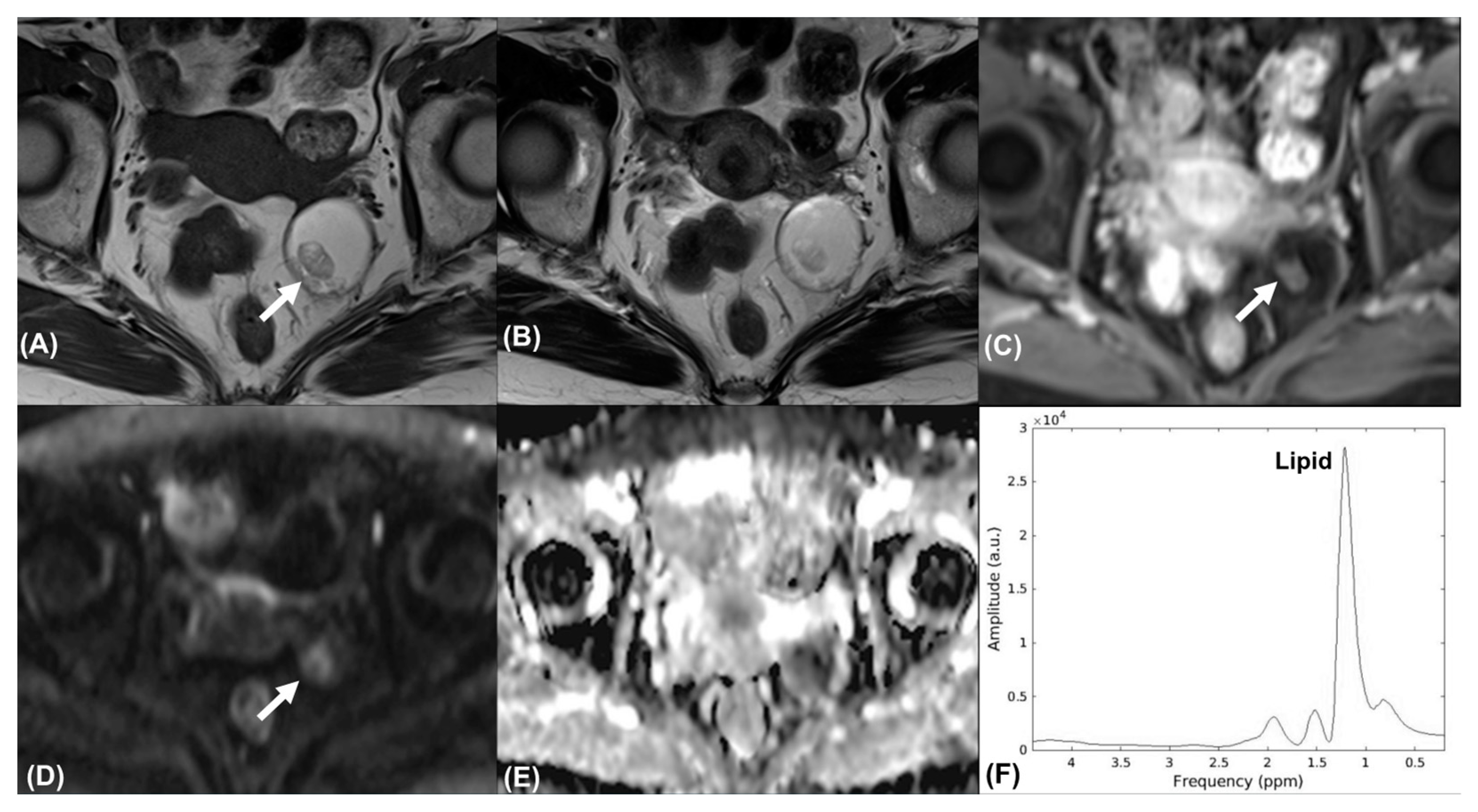 Diagnostics 11 01847 g002