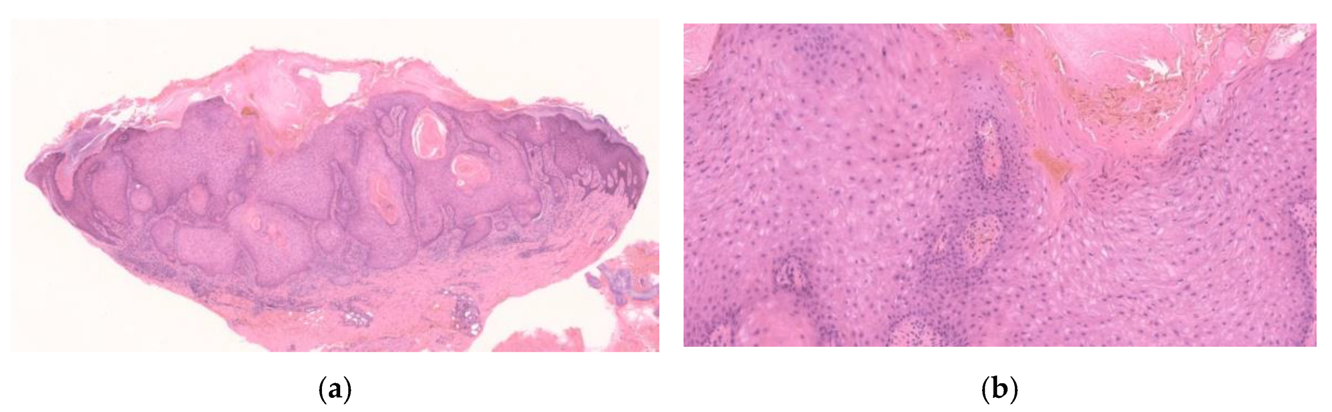 Diagnostics 11 01848 g001 550