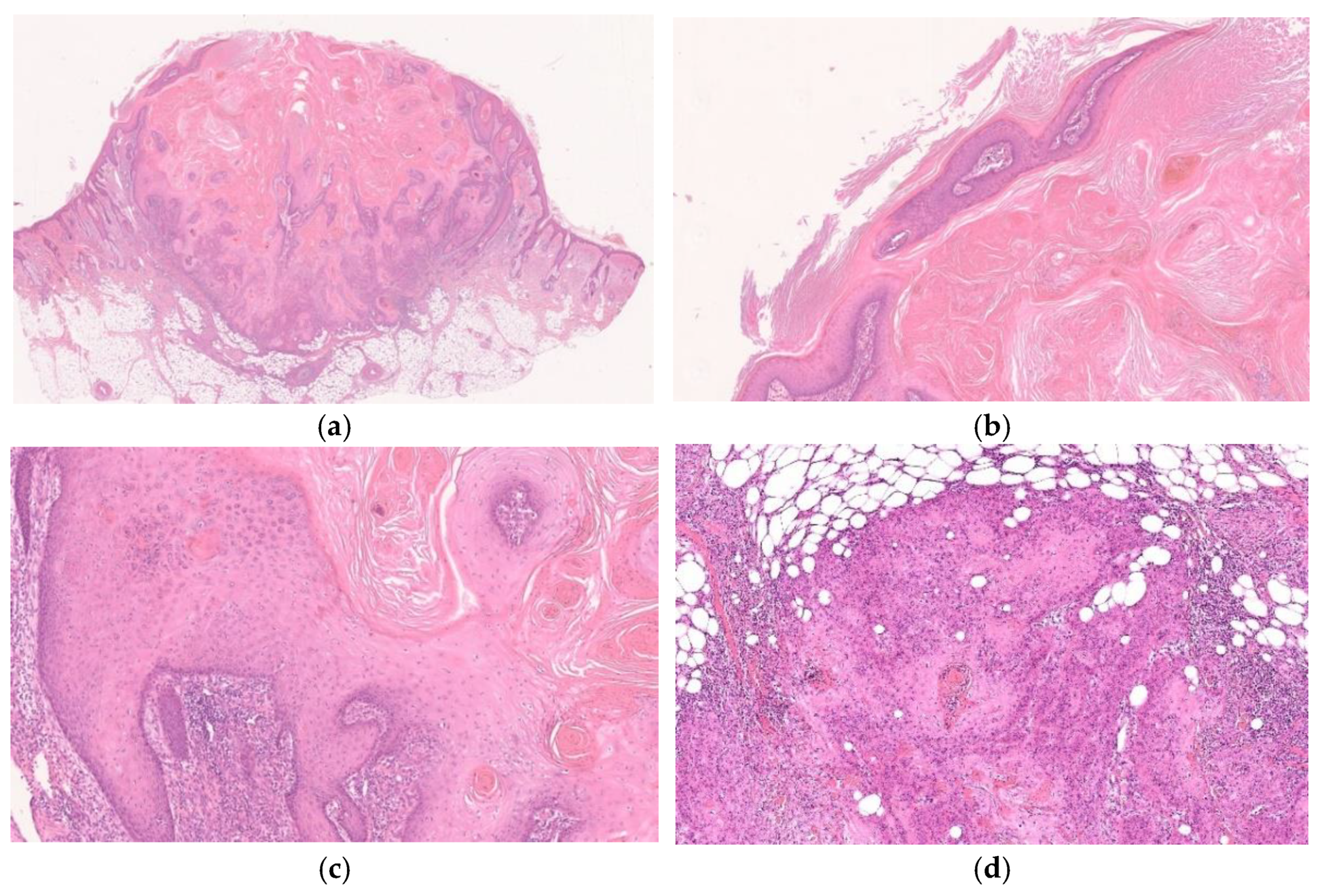 Diagnostics 11 01848 g006 550