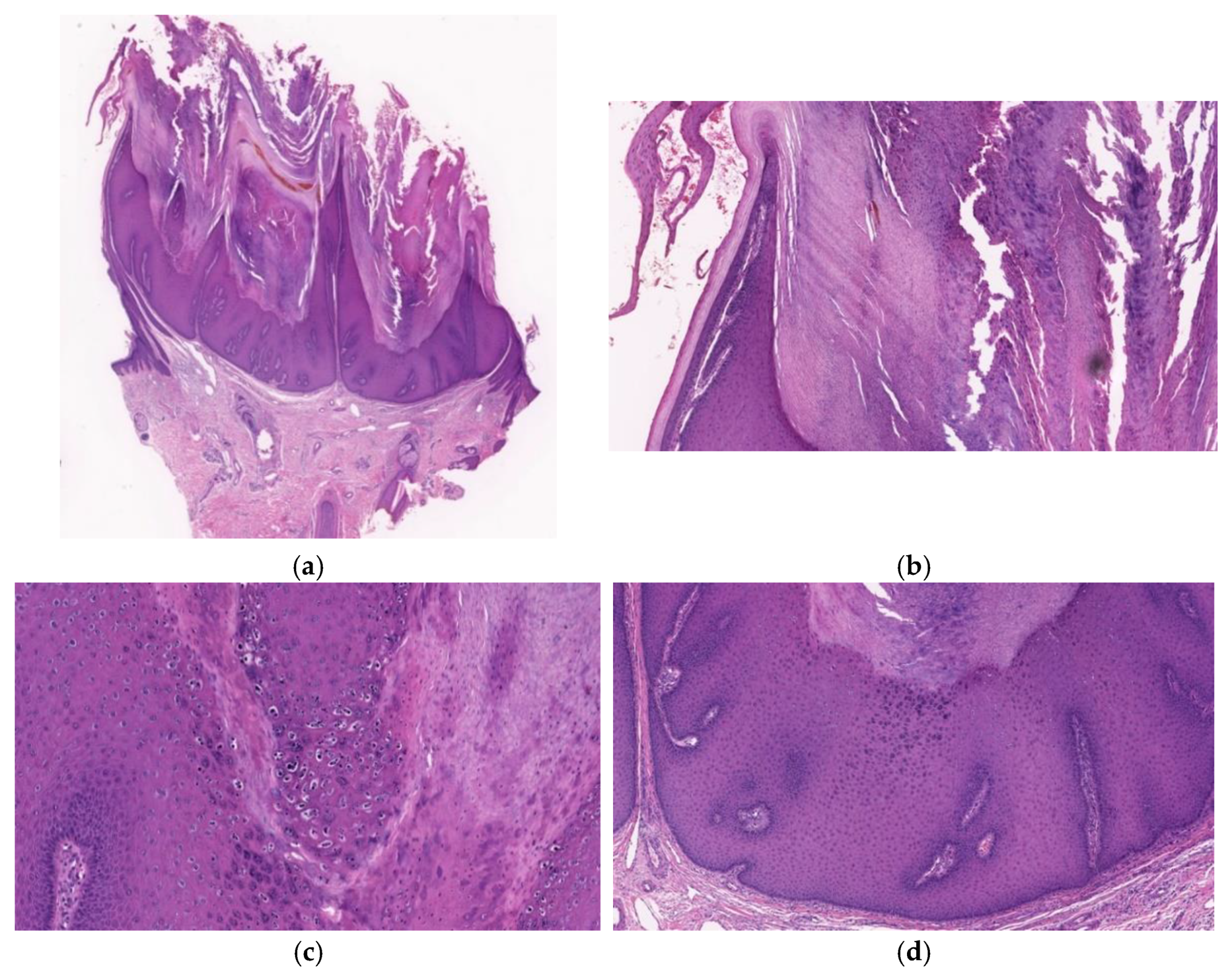 Diagnostics 11 01848 g008 550