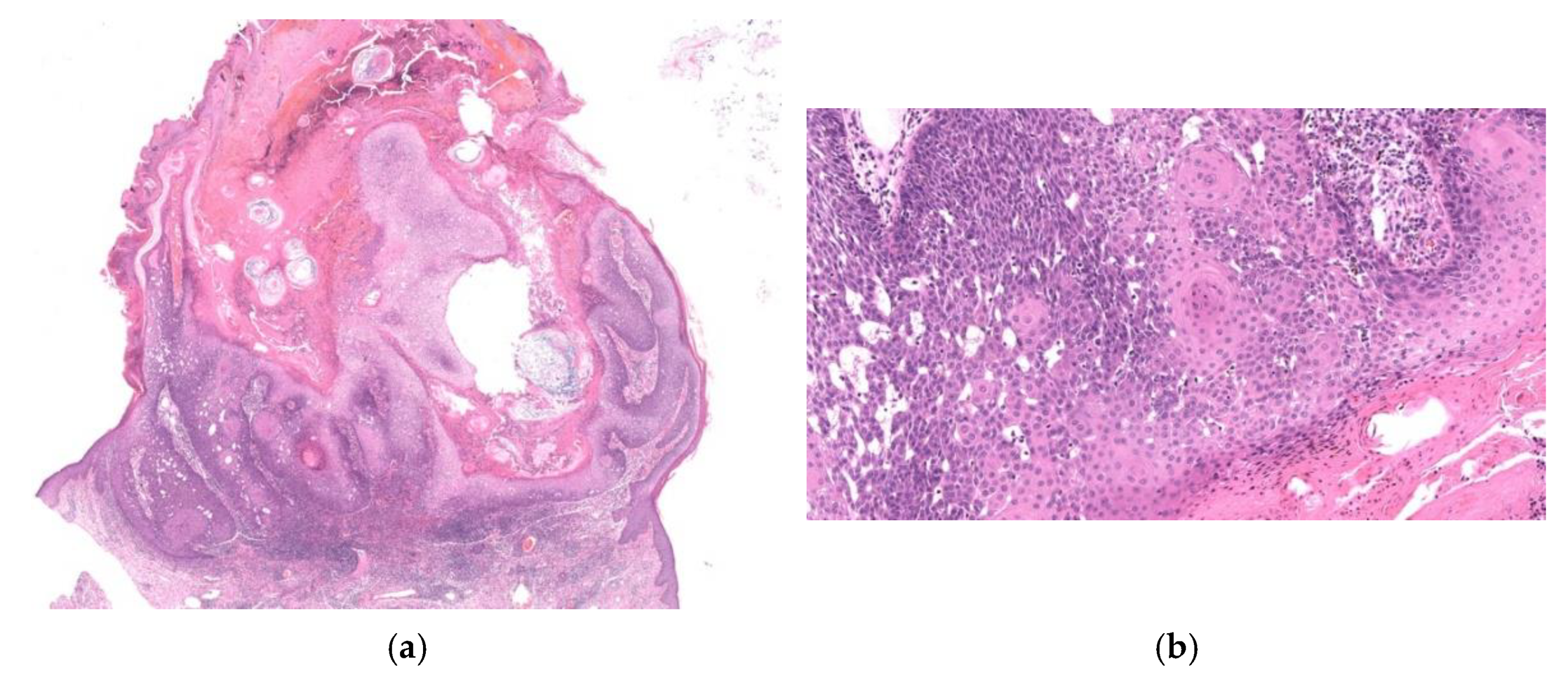 Diagnostics 11 01848 g009 550