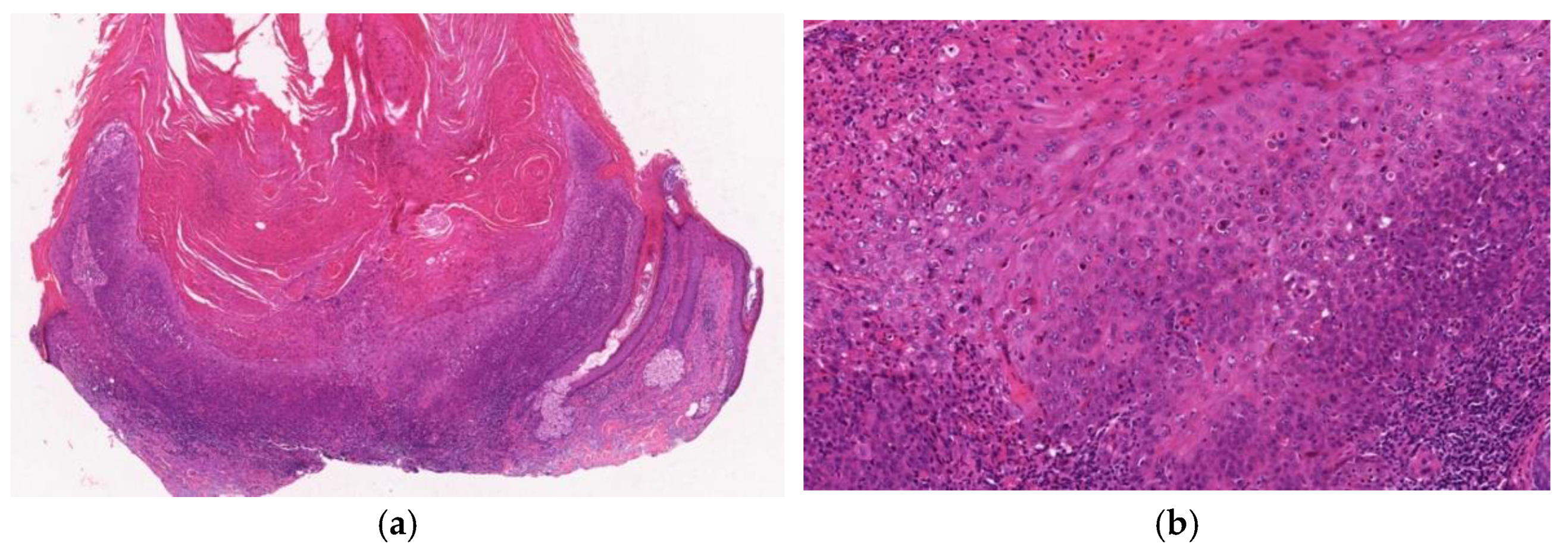 Diagnostics 11 01848 g010 550