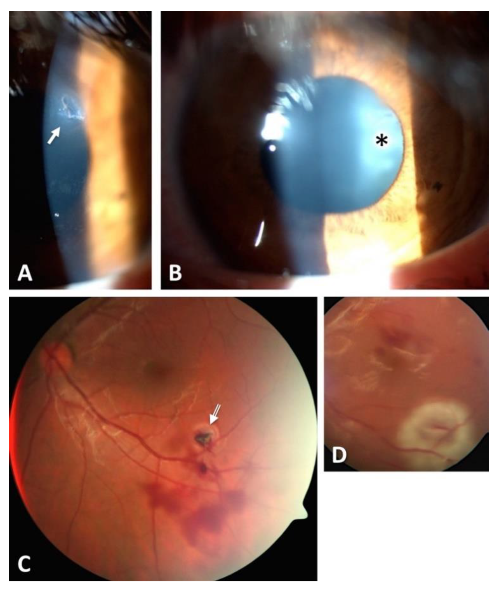 Diagnostics 11 01851 g003 550