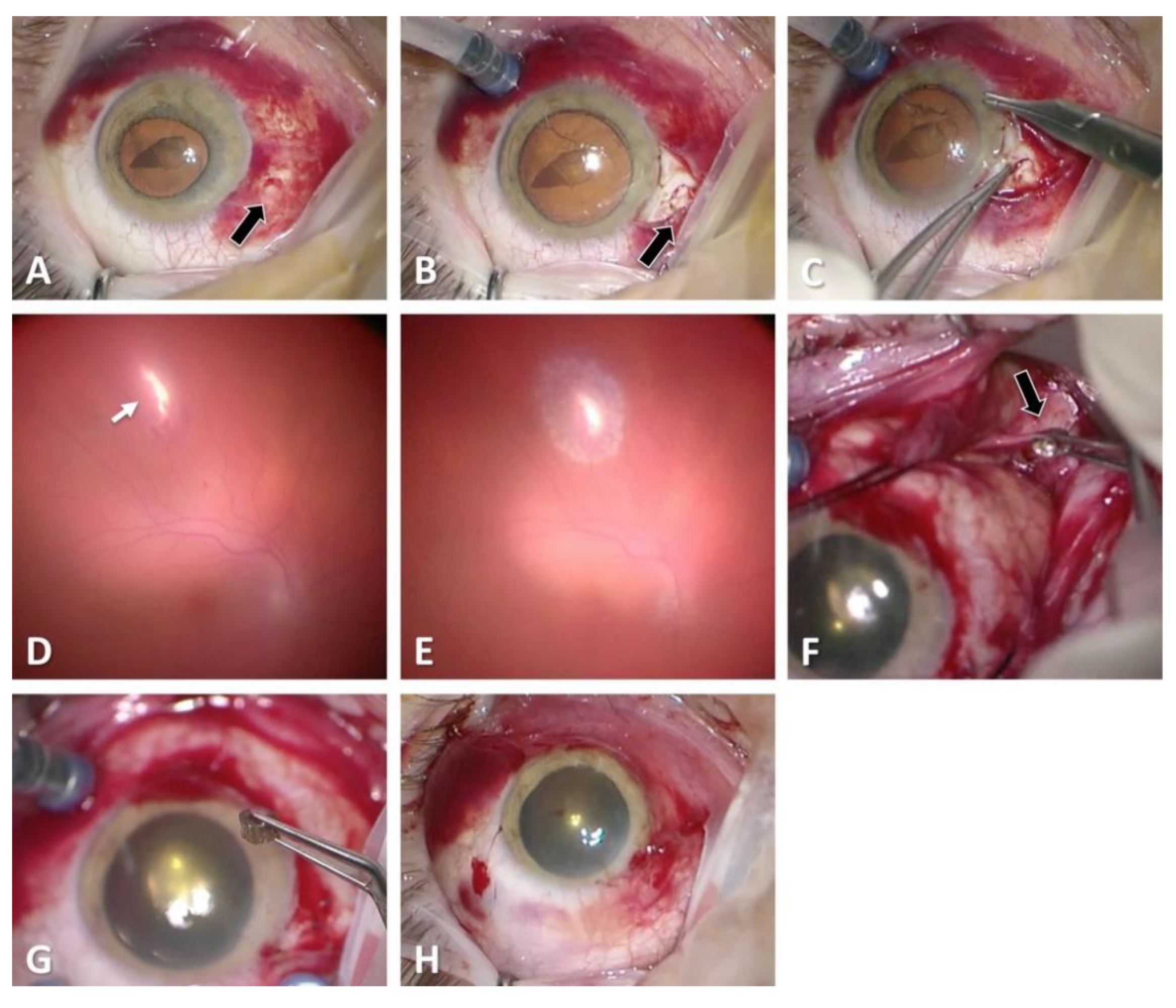 Diagnostics 11 01851 g004 550